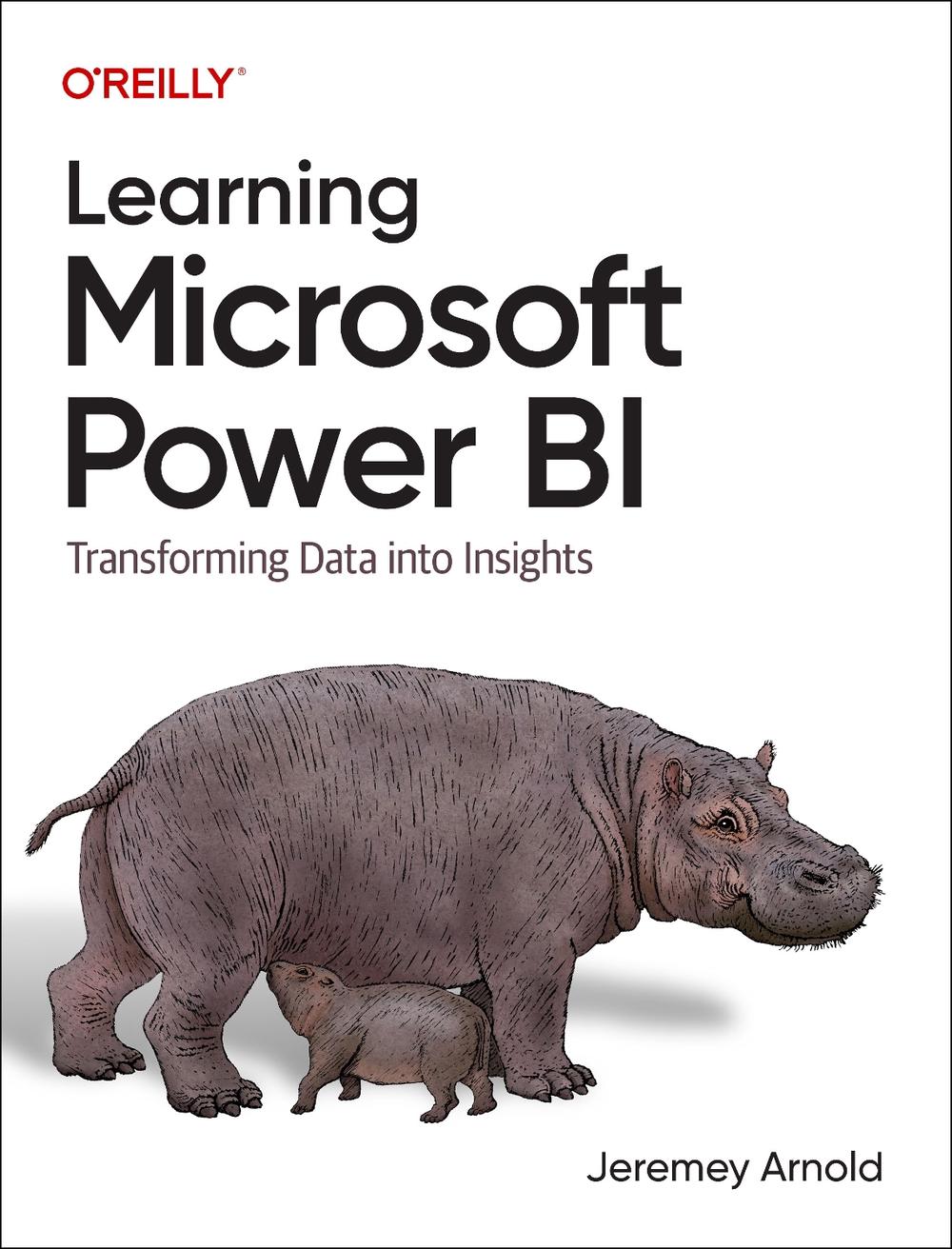 Learning Microsoft Power Bi, 9781098112844