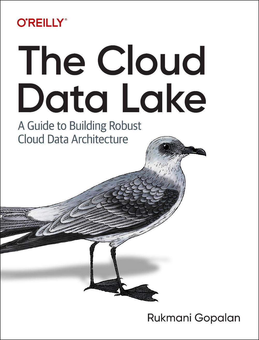 The Cloud Data Lake, 9781098116583