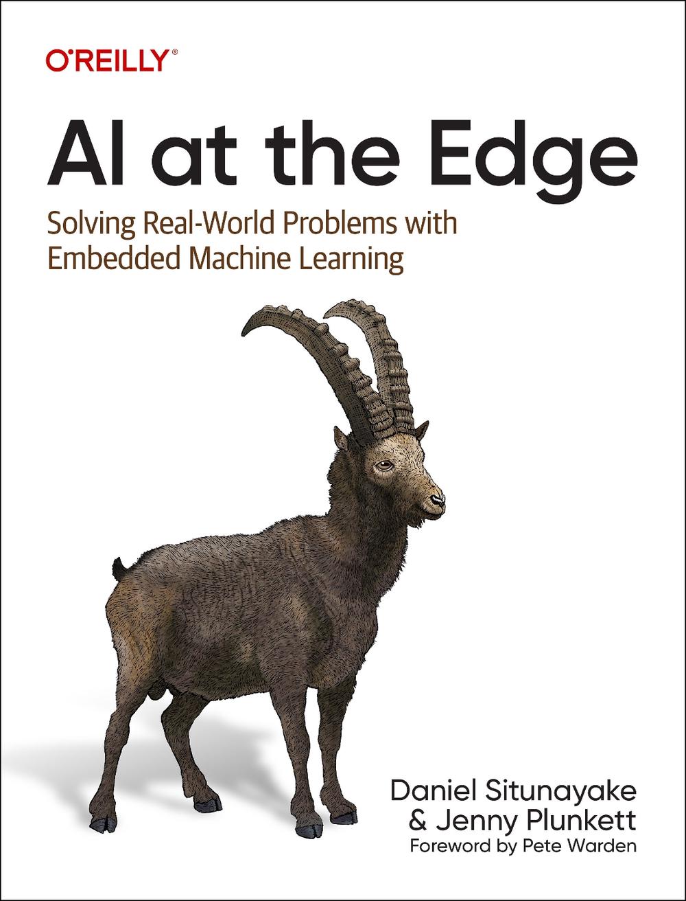 AI at the Edge, 9781098120207