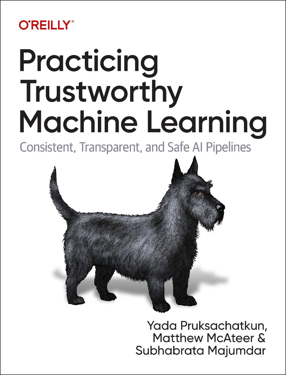 Practicing Trustworthy Machine Learning, 9781098120276