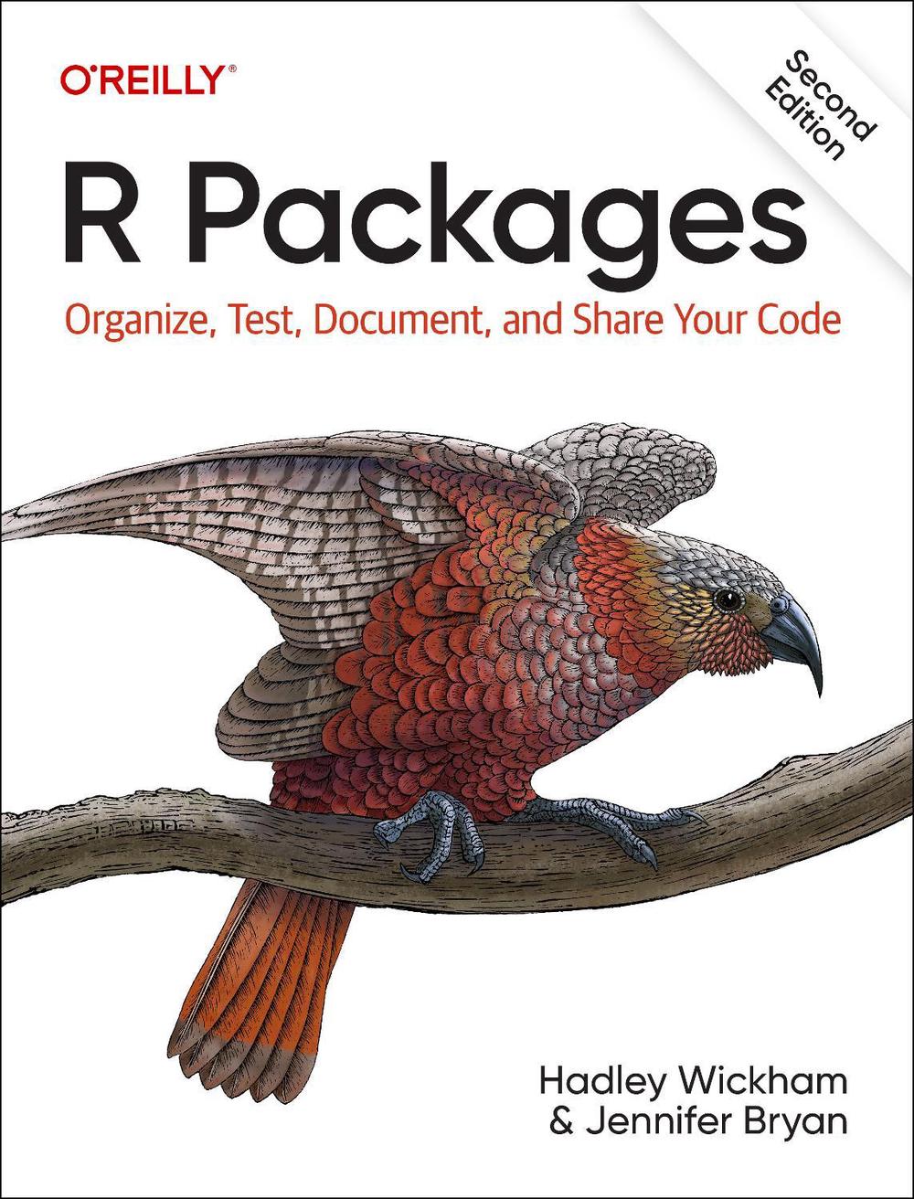 R Packages, 9781098134945