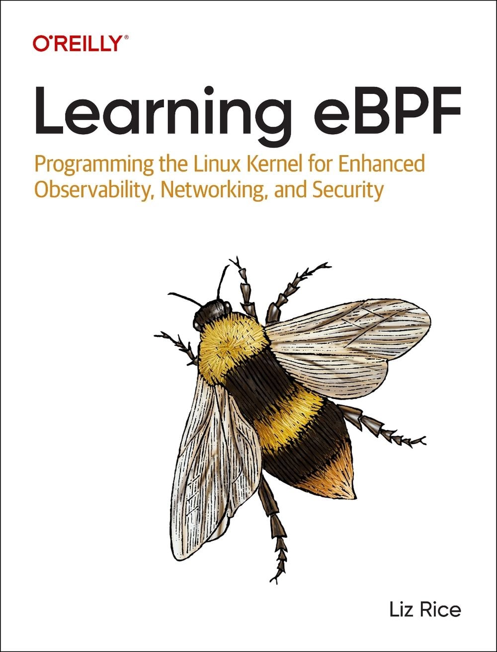 Learning eBPF by Liz Rice - ISBN: 9781098135126