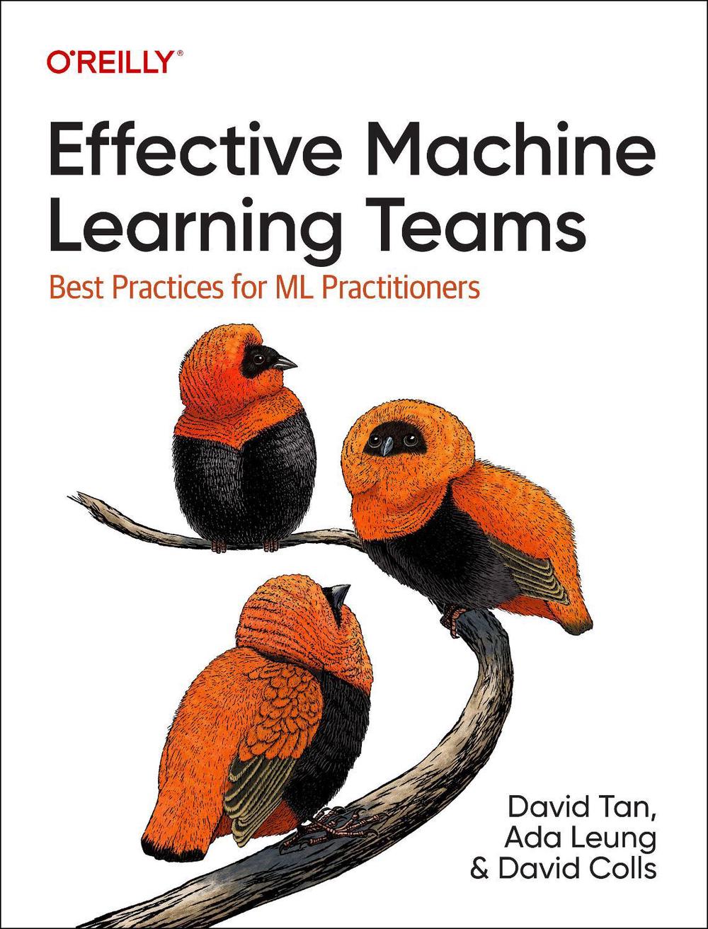 Effective Machine Learning Teams, 9781098144630
