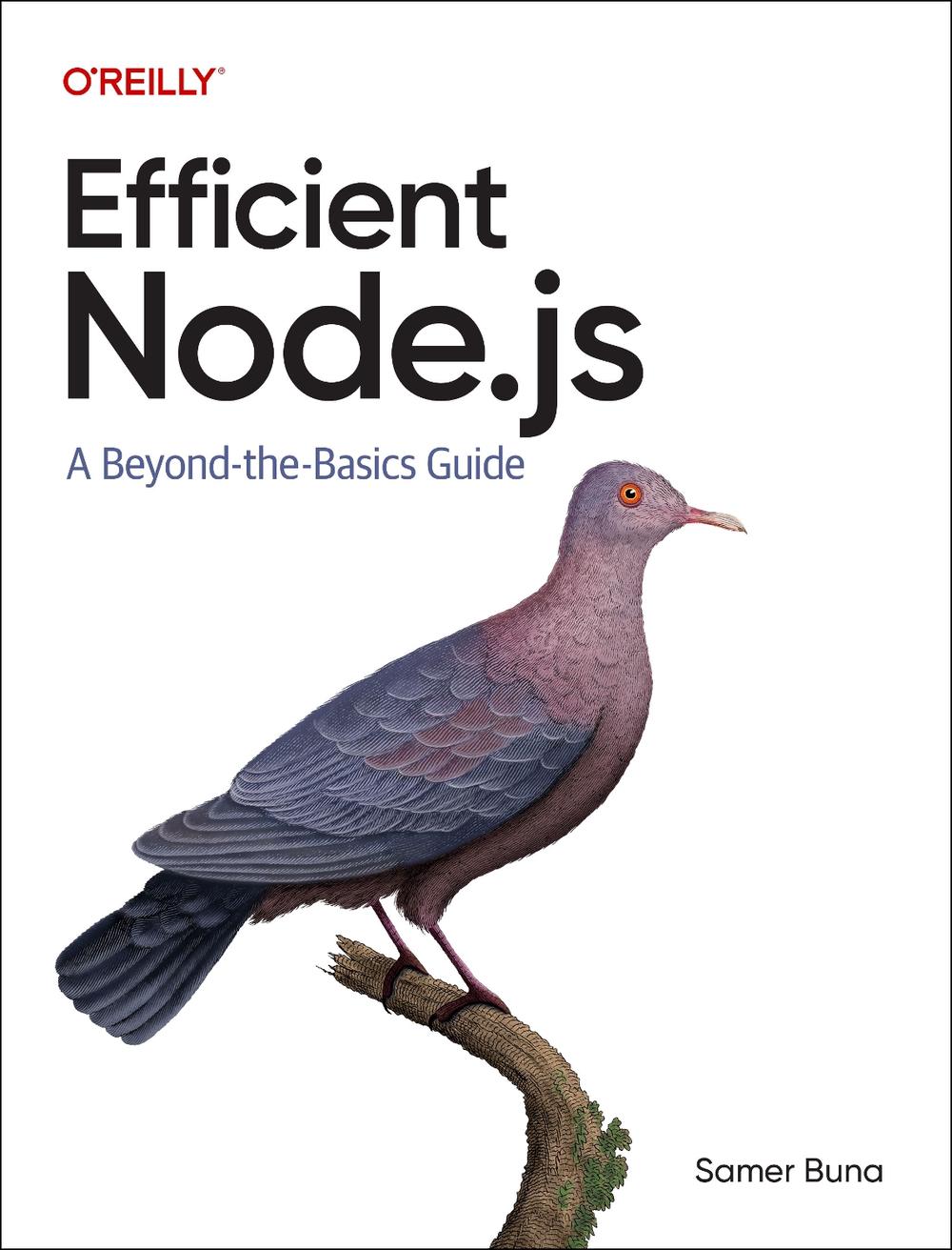 Efficient Node.js, 9781098145194