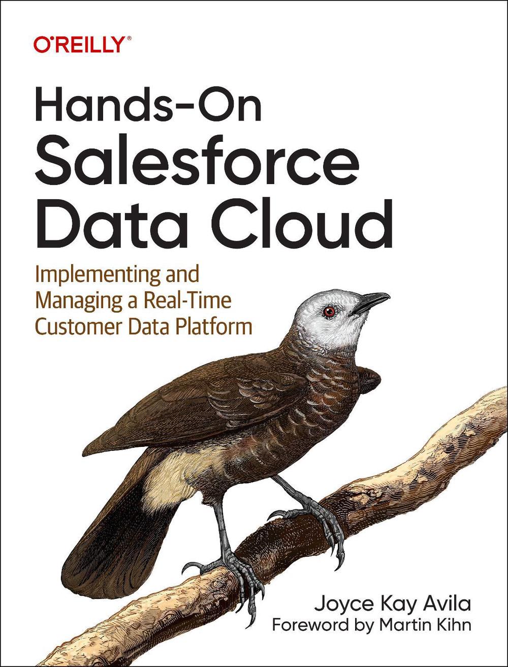 Hands-On Salesforce Data Cloud, 9781098147860