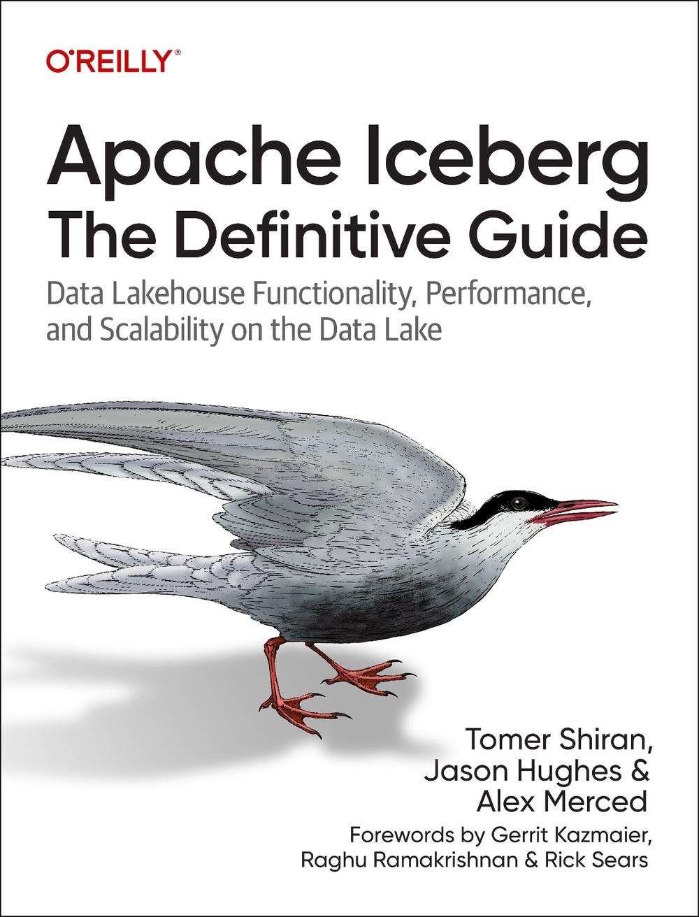 Apache Iceberg: The Definitive Guide, 9781098148621