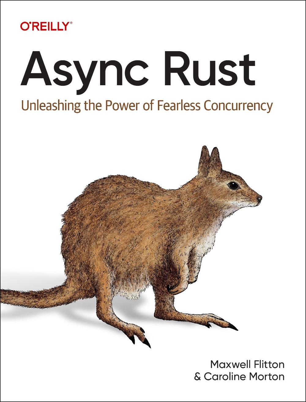 Async Rust, 9781098149093