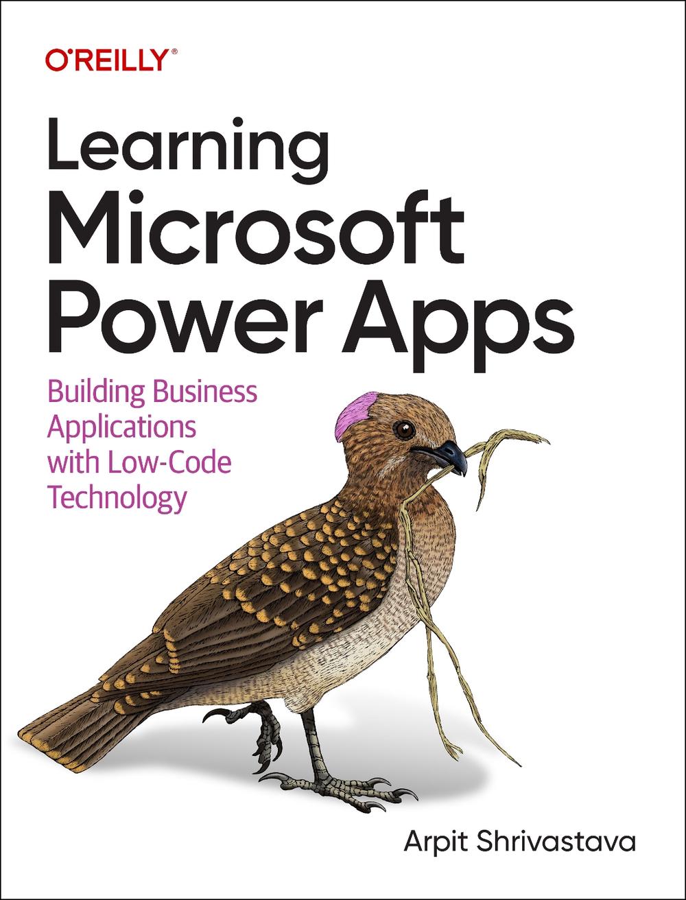 Learning Microsoft Power Apps, 9781098150426