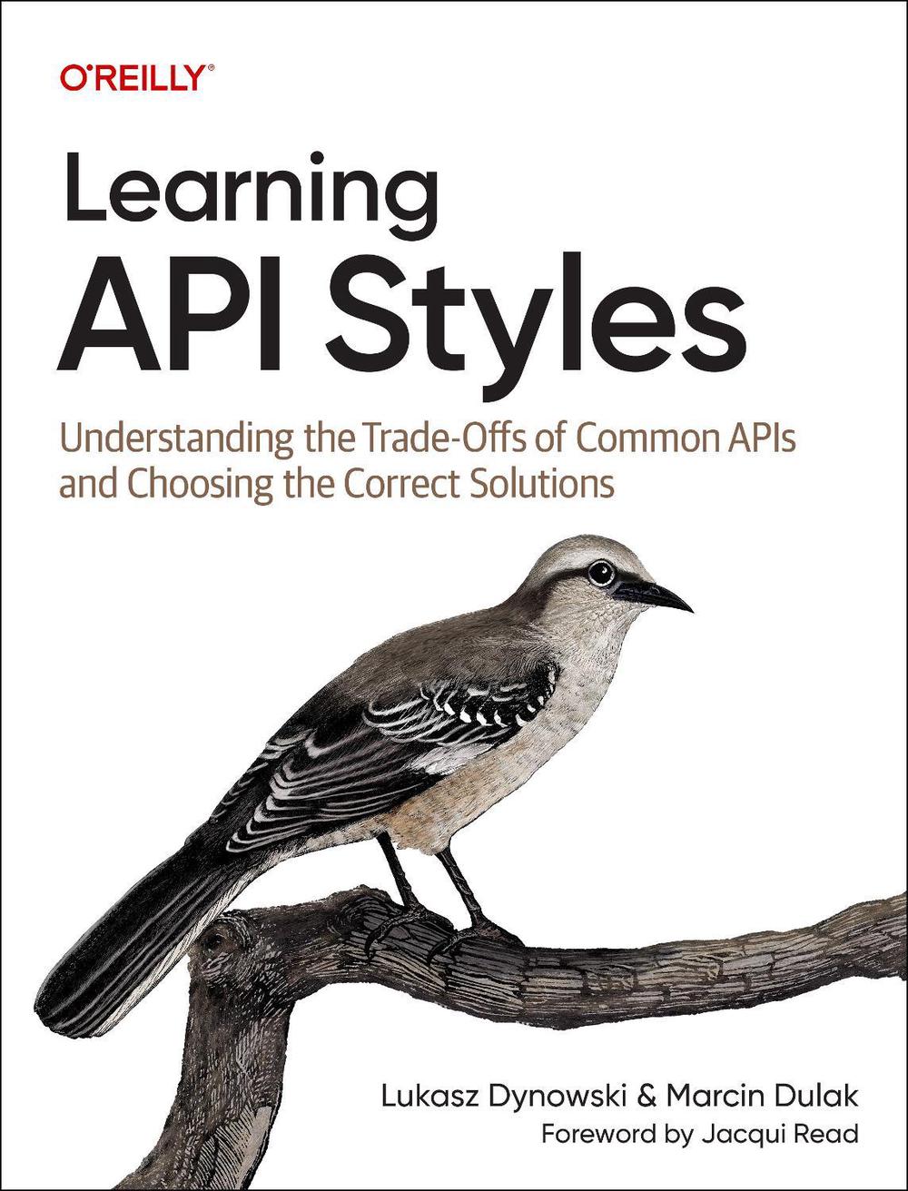 Learning API Styles, 9781098153991