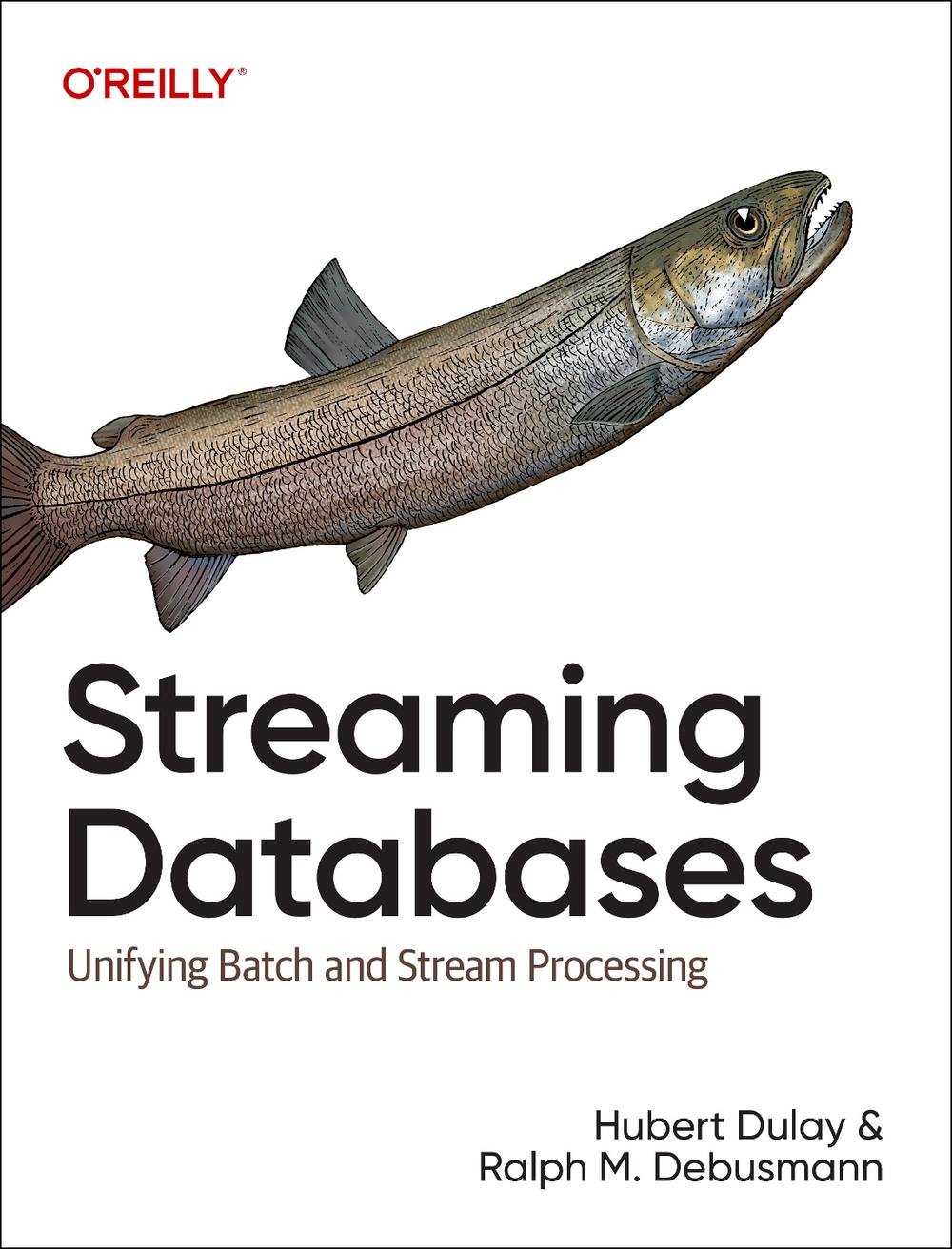 Streaming Databases, 9781098154837