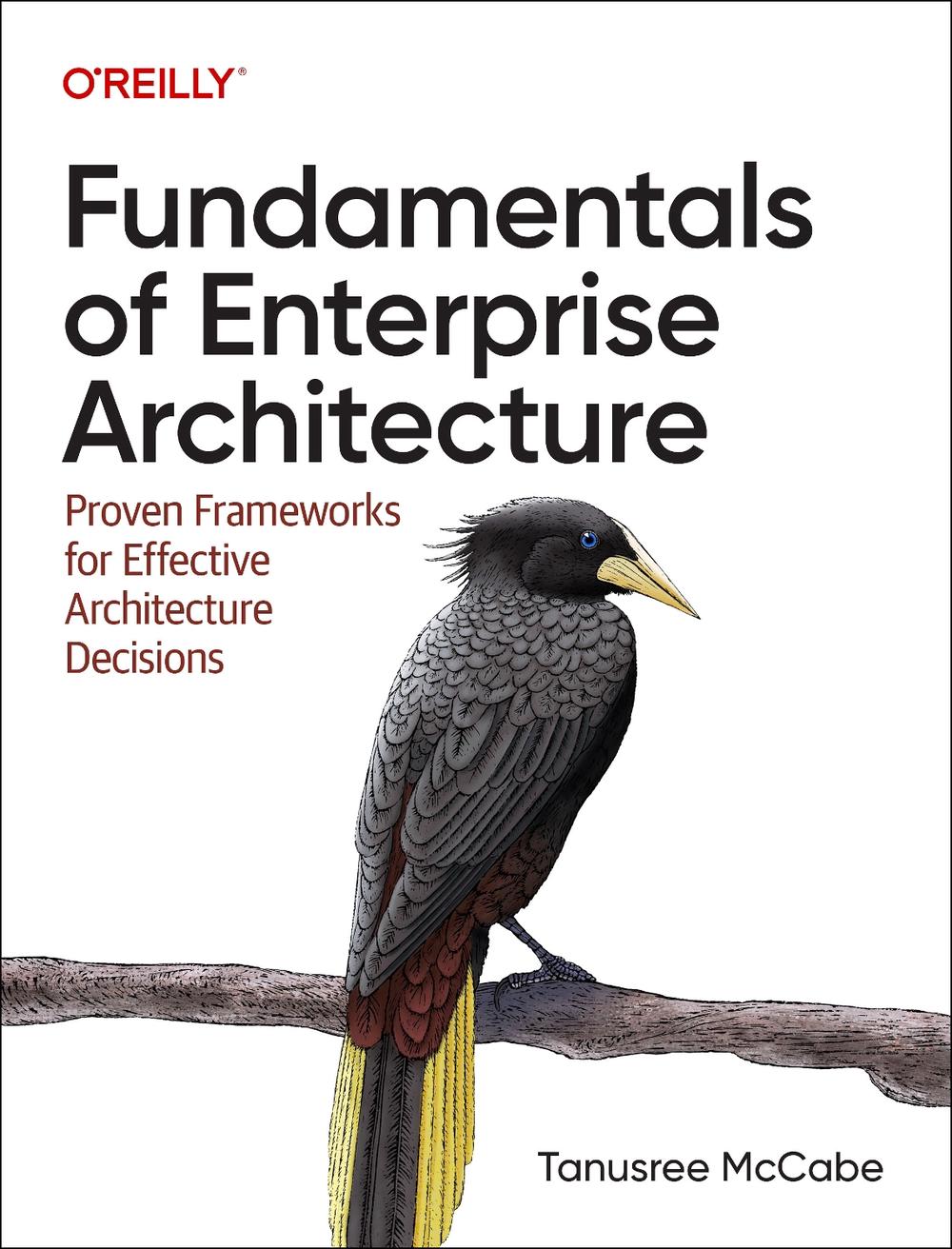 Fundamentals of Enterprise Architecture, 9781098159375