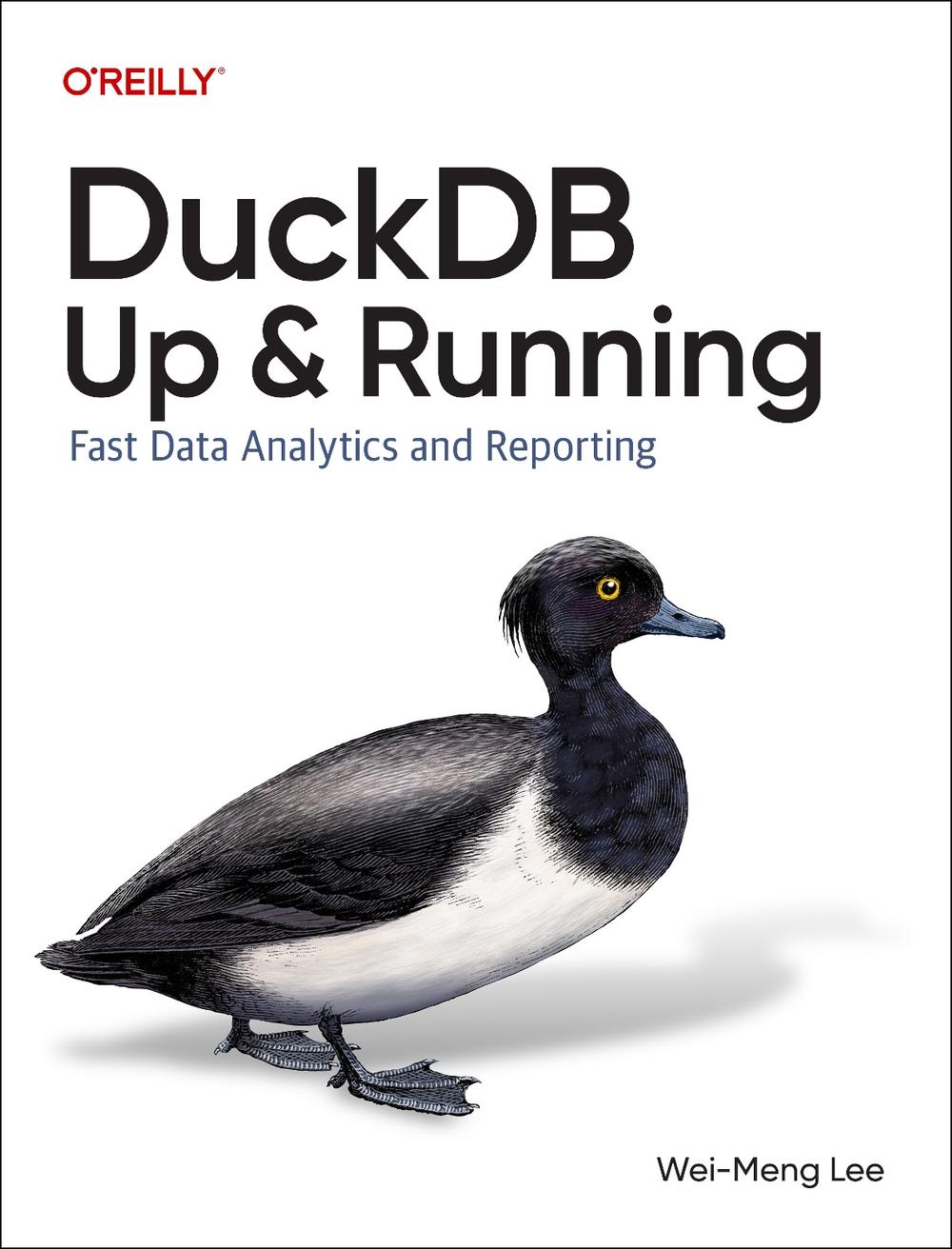 DuckDB: Up and Running, 9781098159696