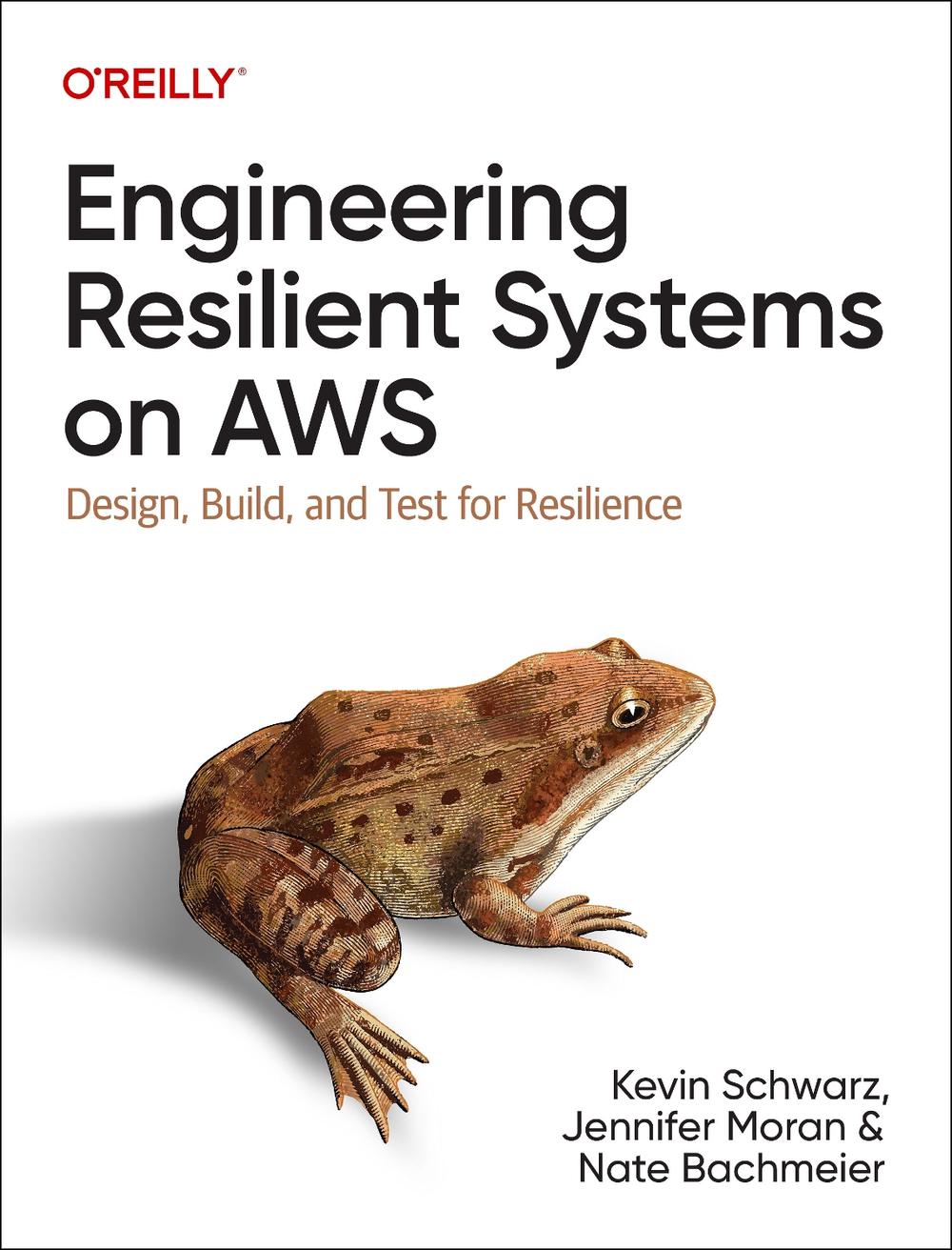 Engineering Resilient Systems on AWS, 9781098162429