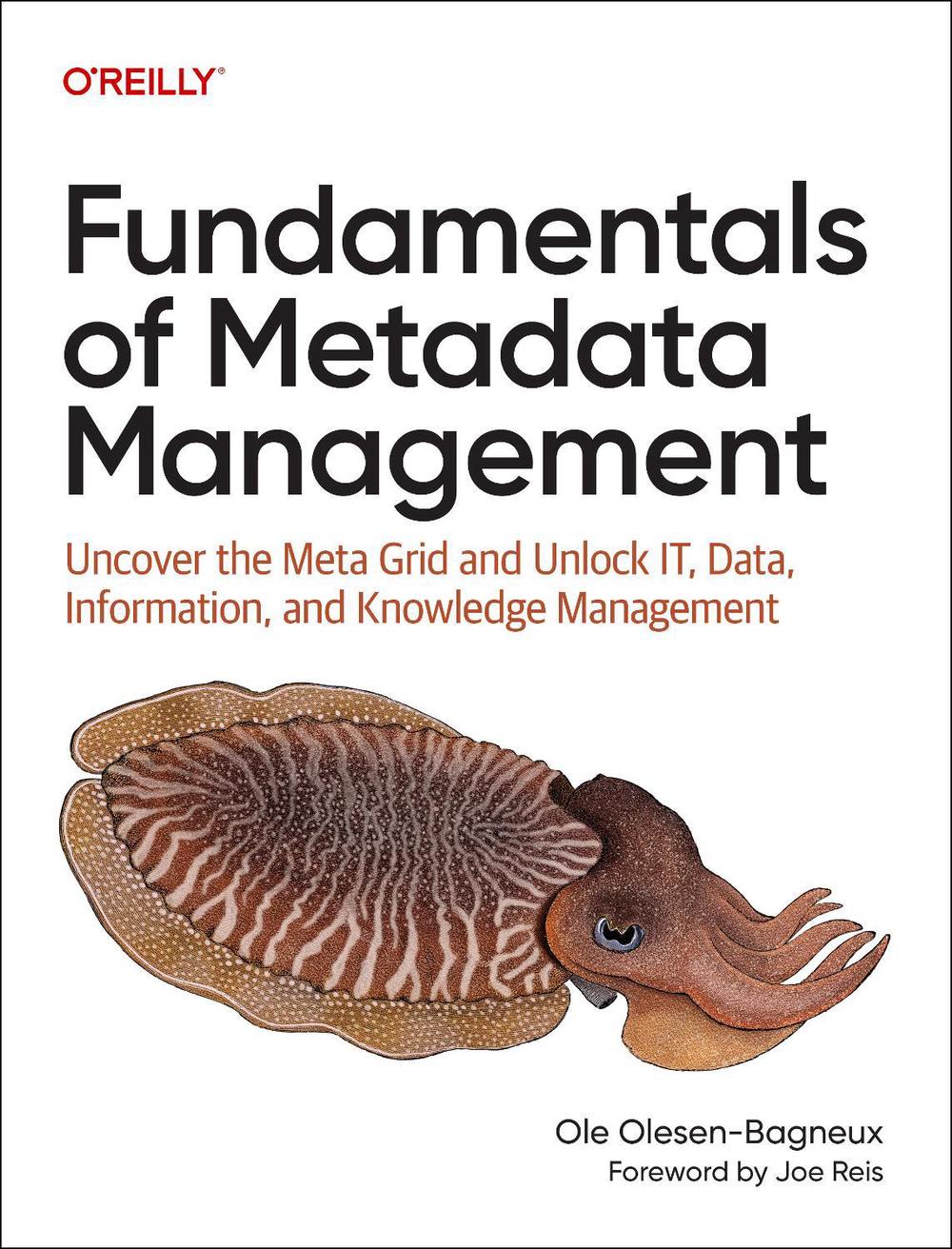 Fundamentals of Metadata Management, 9781098162825