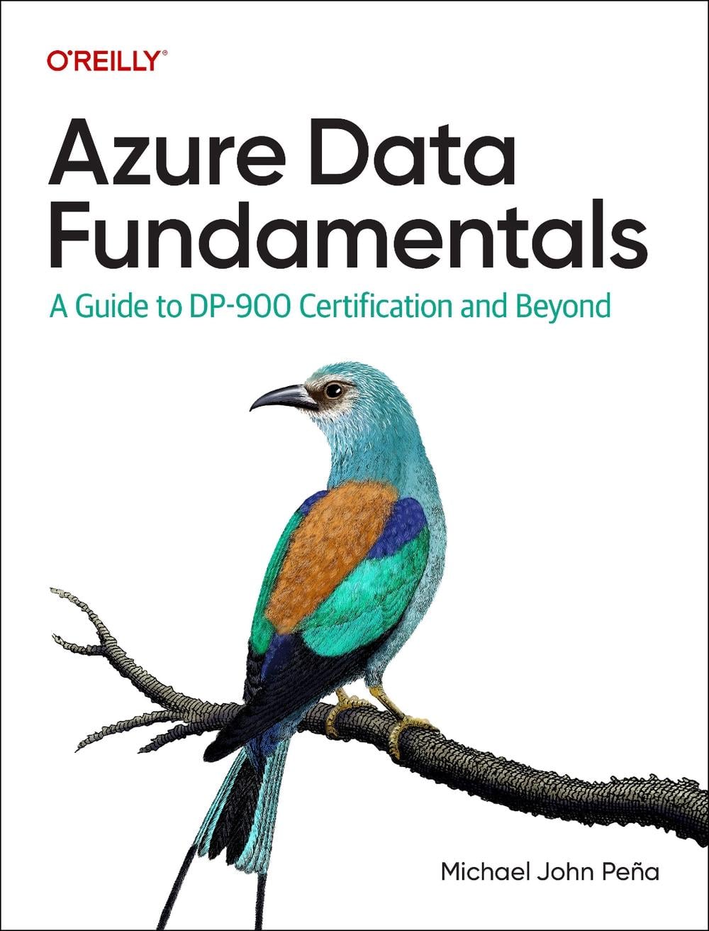 Azure Data Fundamentals by Michael Pena, Paperback, 9781098164737 Buy