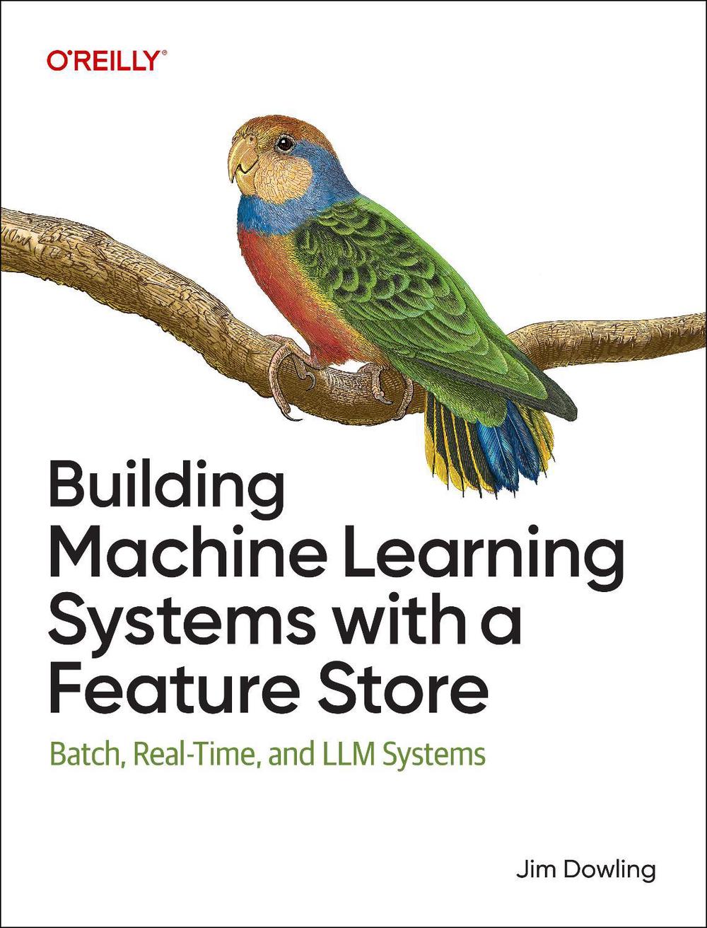 Building Machine Learning Systems with a Feature Store, 9781098165239