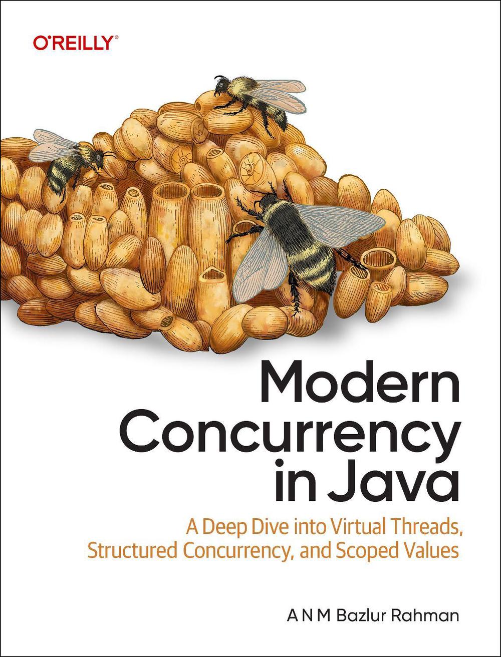 Modern Concurrency in Java, 9781098165413
