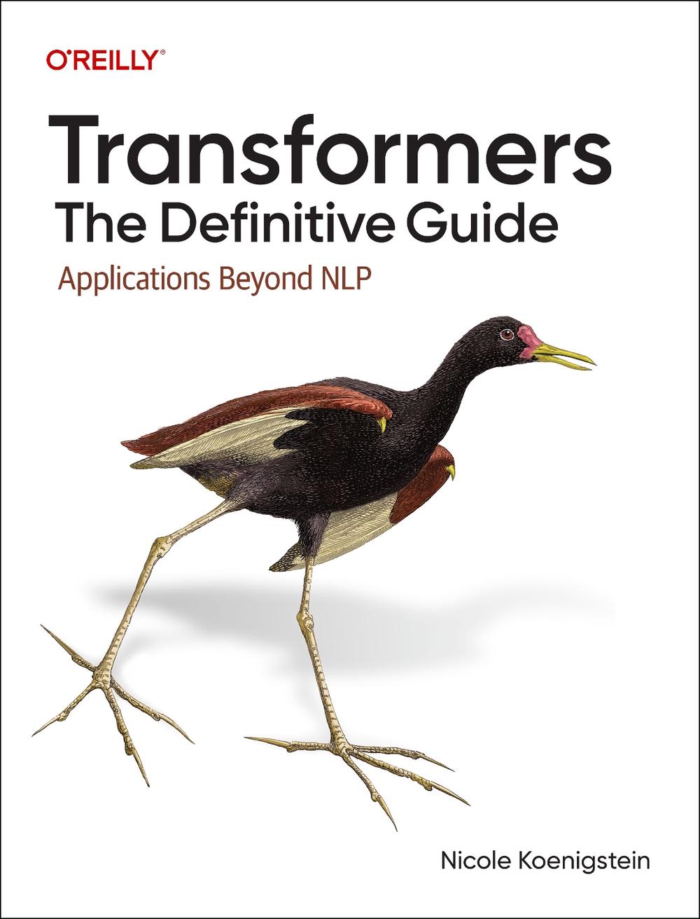 Transformers: The Definitive Guide, 9781098167011