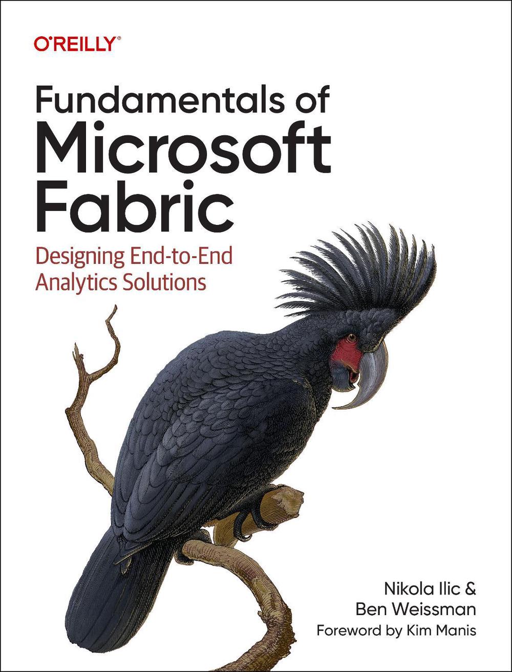 Fundamentals of Microsoft Fabric, 9781098172923