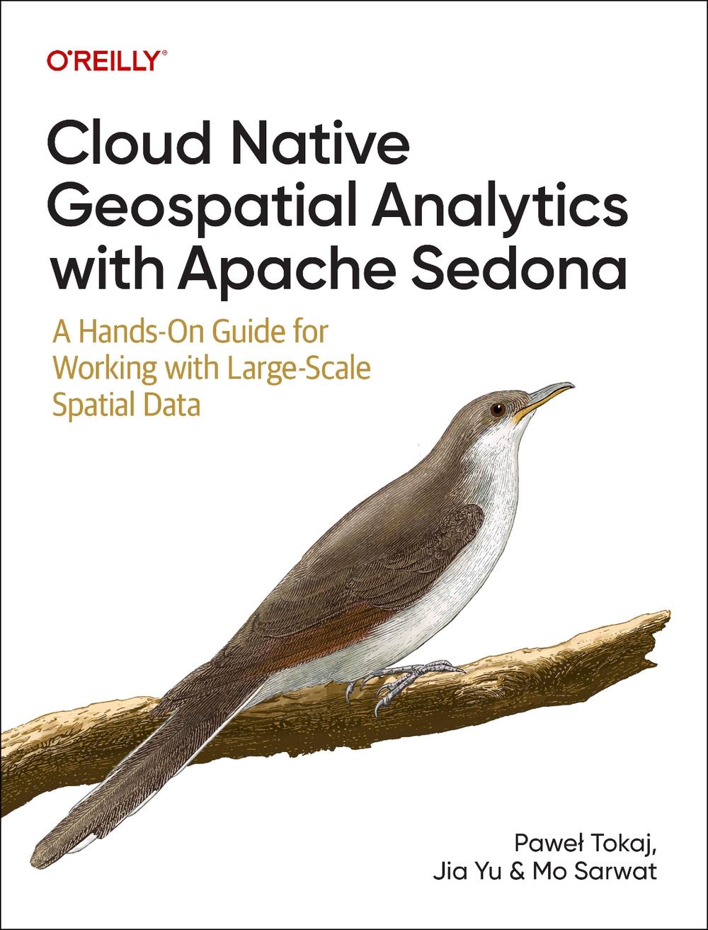 Cloud Native Geospatial Analytics with Apache Sedona, 9781098173999