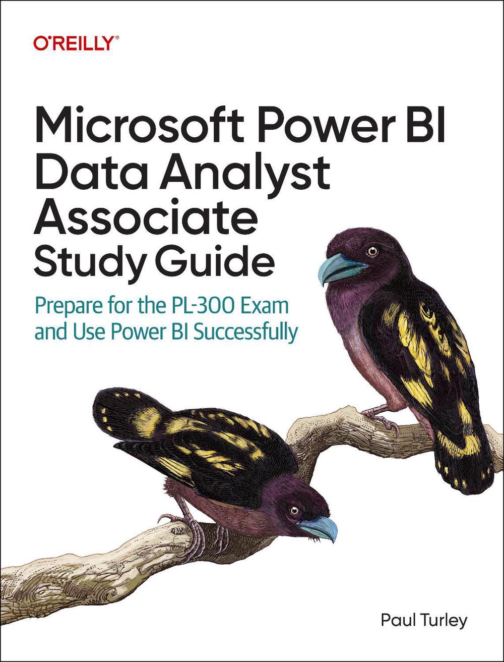 Microsoft Power Bi Data Analyst Associate Study Guide, 9781098175283