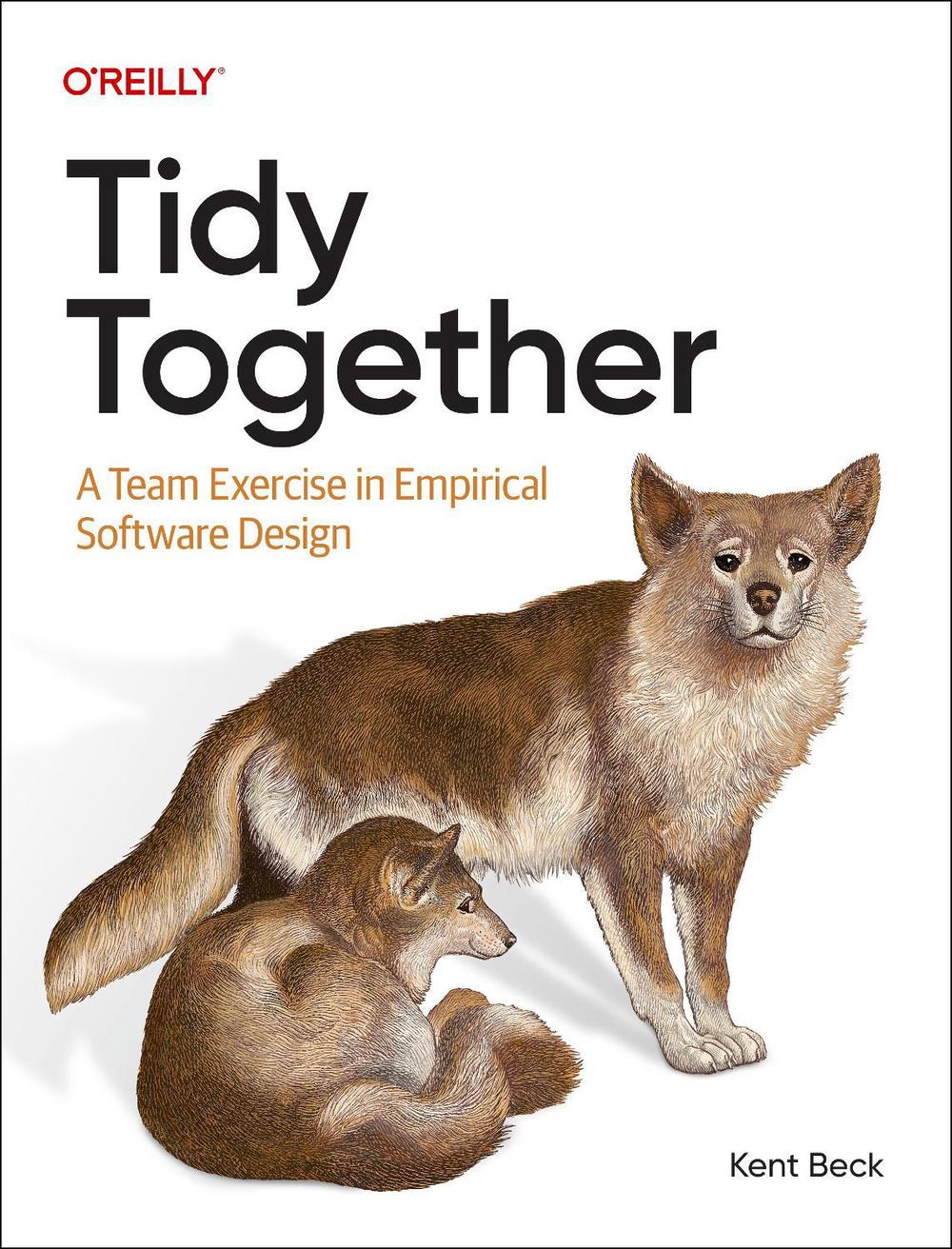Tidy Together, 9781098178765