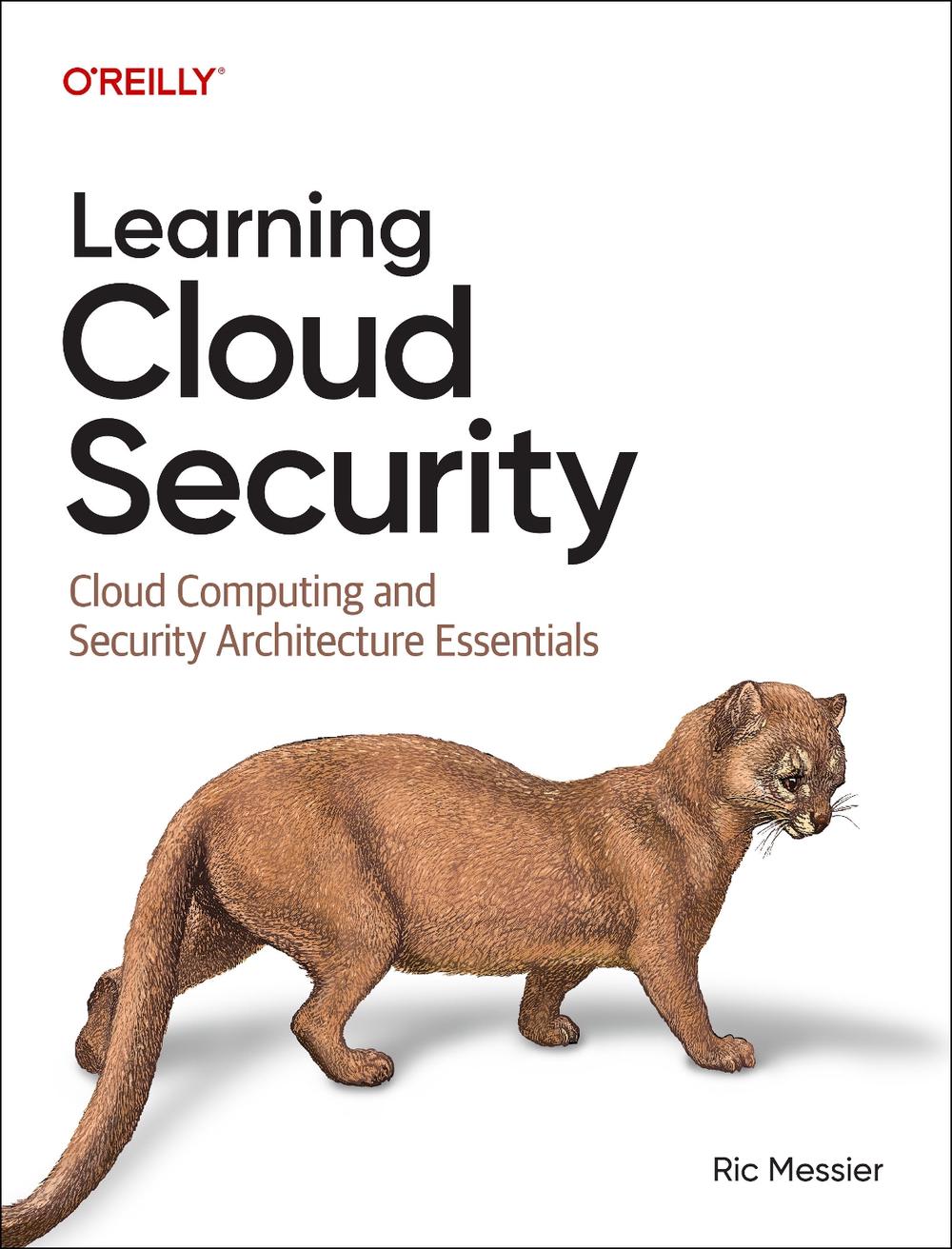 Learning Cloud Security, 9781098179427