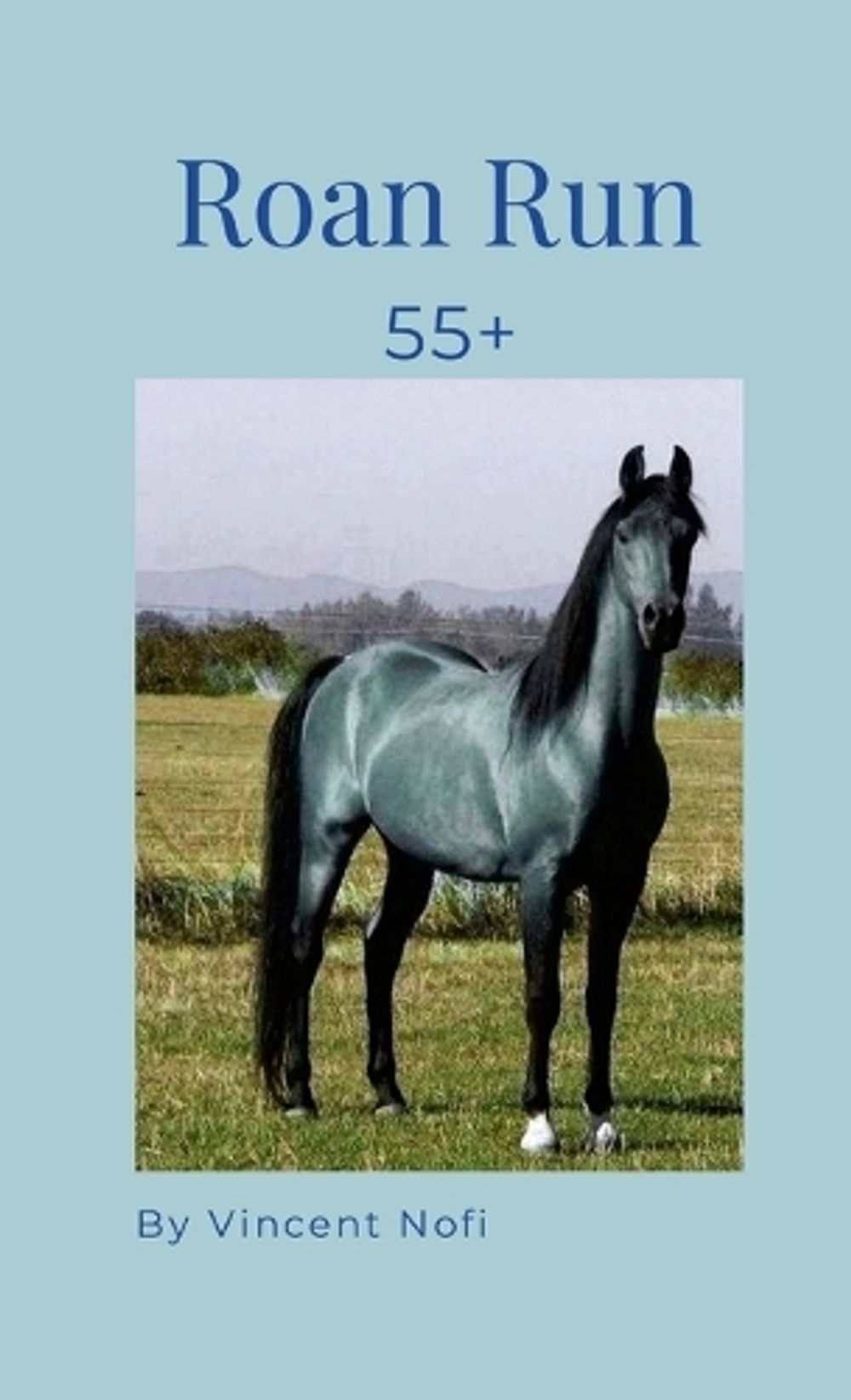 Roan Run by Vincent Nofi - ISBN: 9781105761515