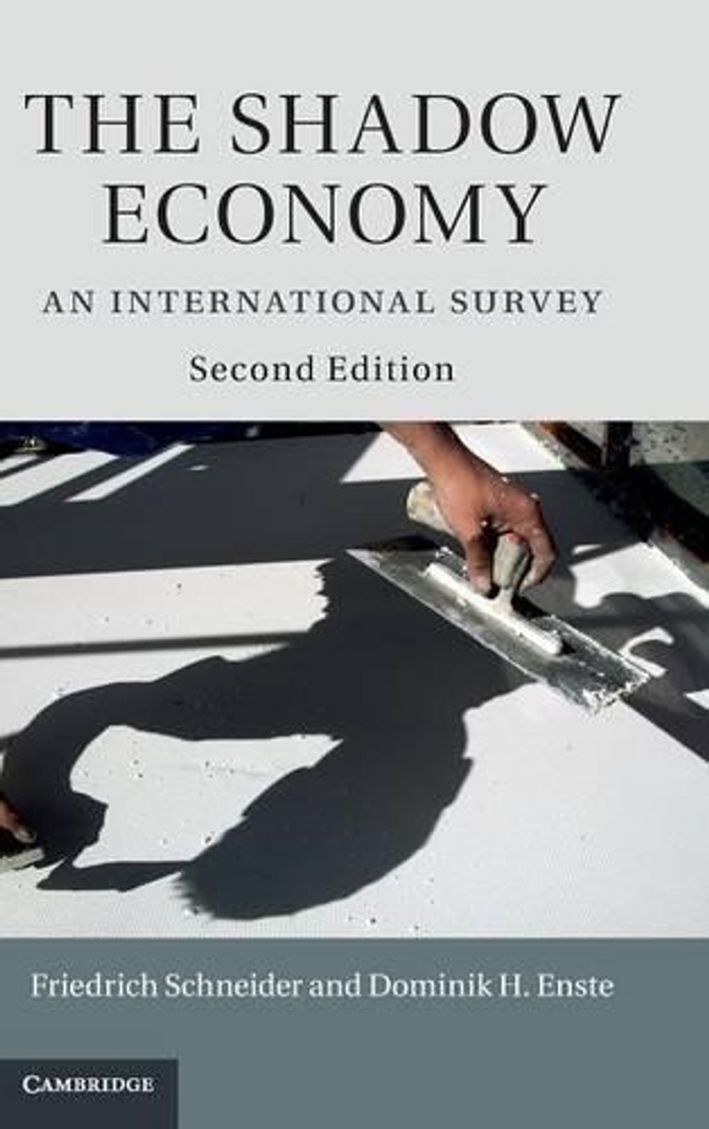 The Shadow Economy by Friedrich Schneider, Hardcover, 9781107034846 ...