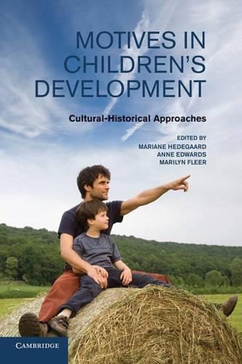 Motives in Children's Development by Mariane Hedegaard - ISBN: 9781107626881