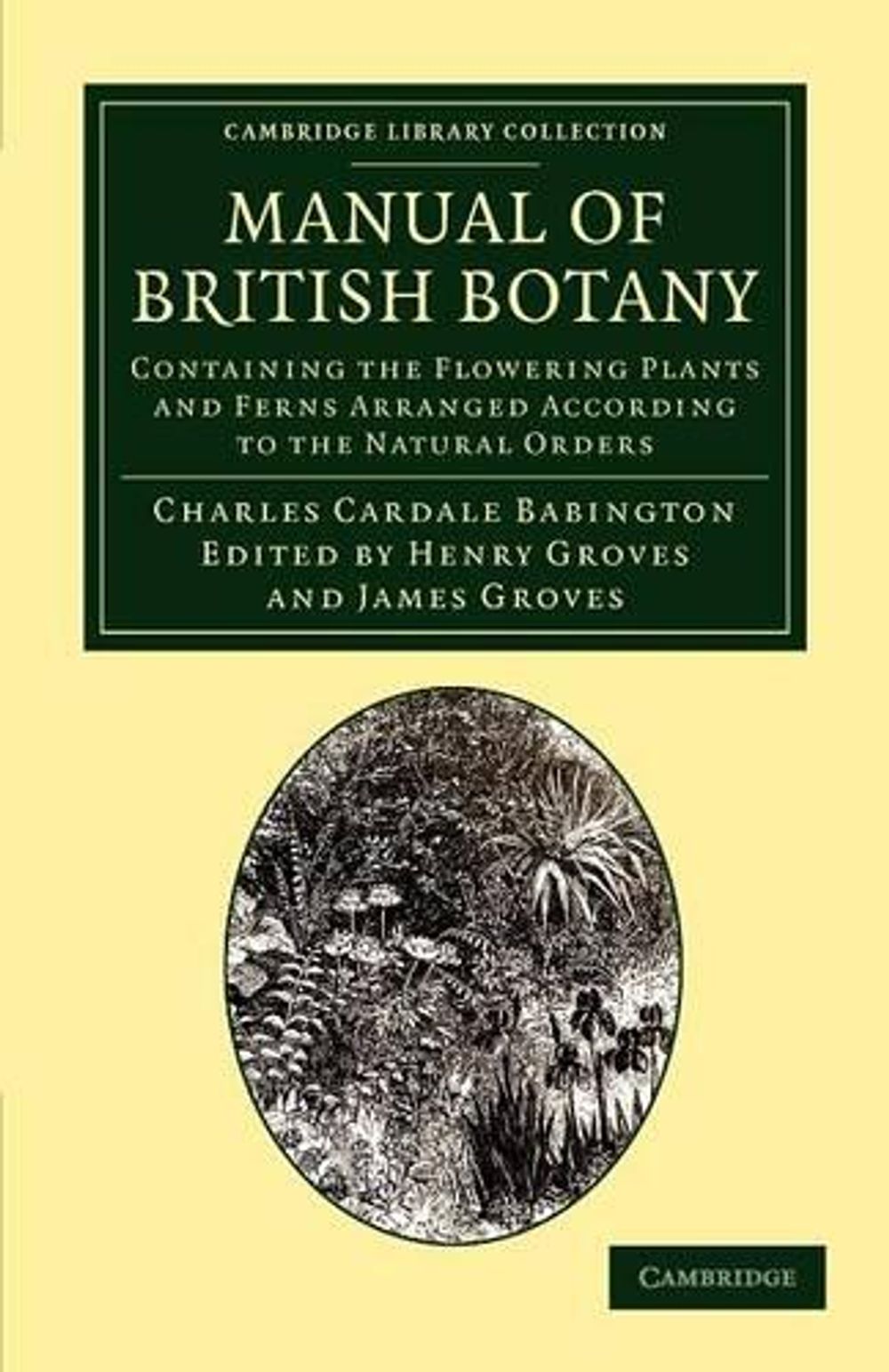 Manual of British Botany by Charles Cardale Babington, Paperback ...