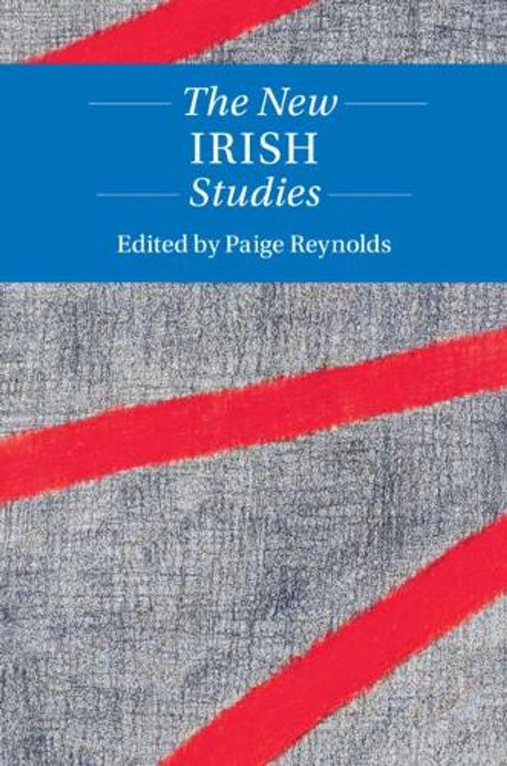 The New Irish Studies by Paige Reynolds - ISBN: 9781108473996