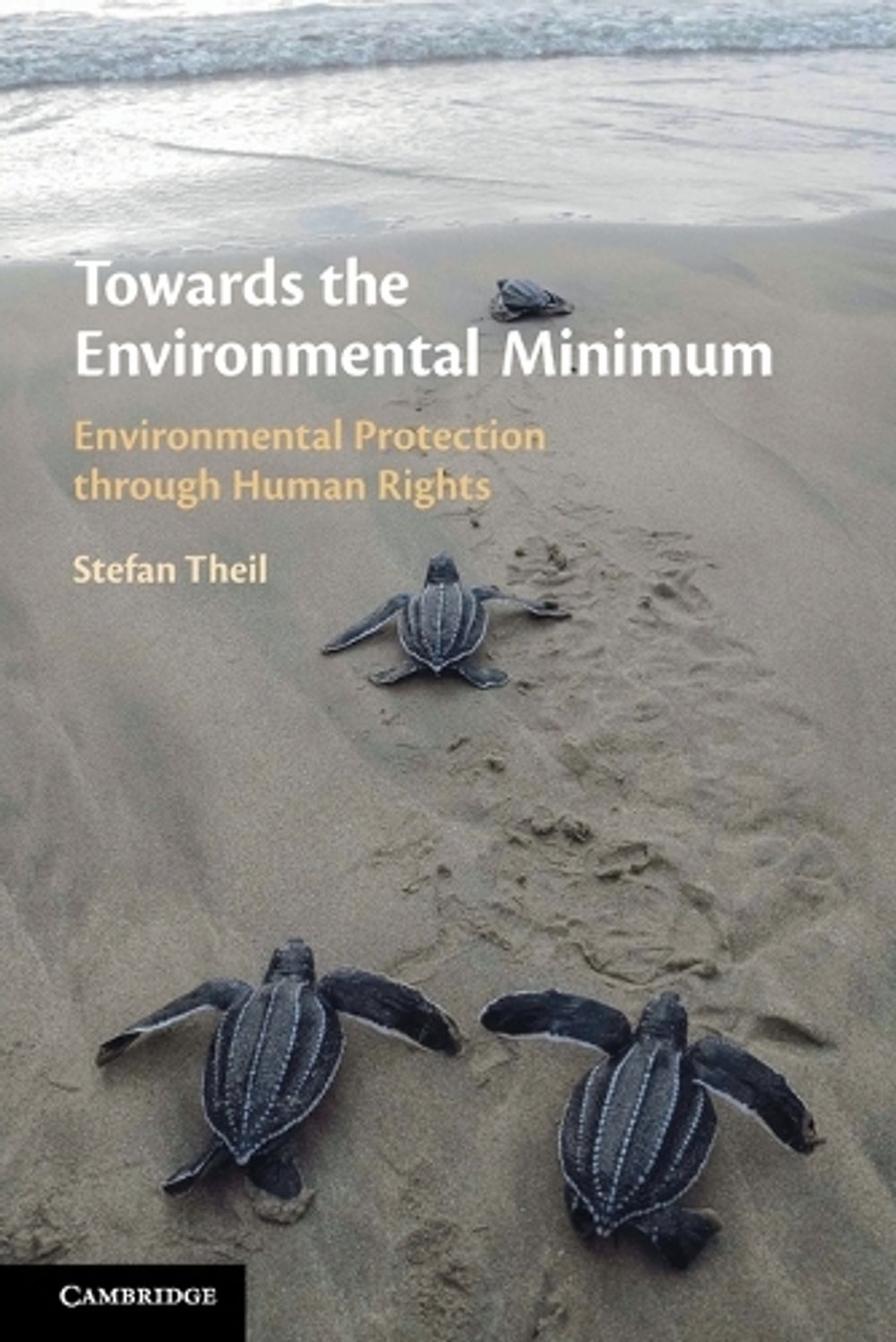 Towards the Environmental Minimum by Stefan Theil - ISBN: 9781108799744