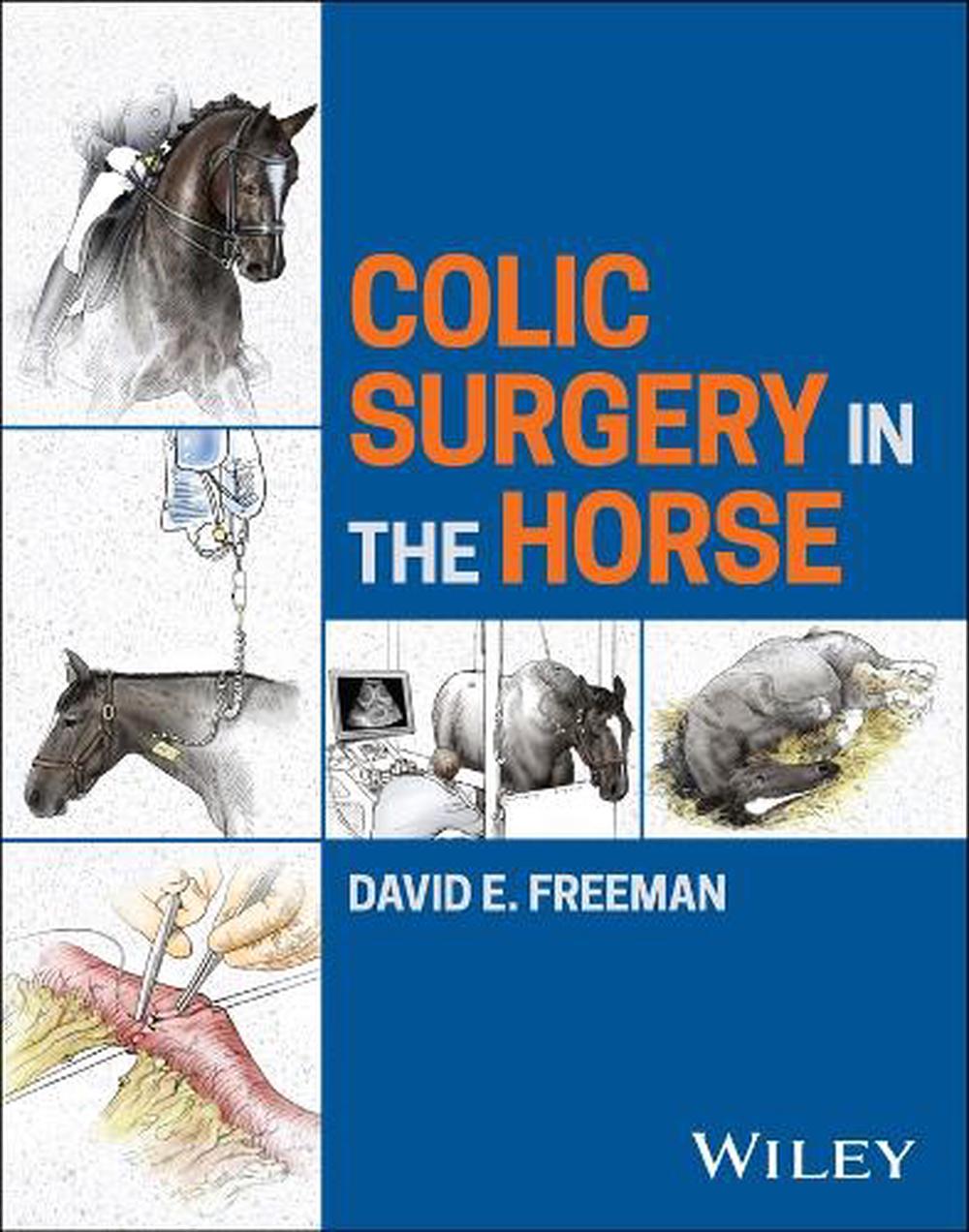 Colic Surgery in the Horse, 9781118479124