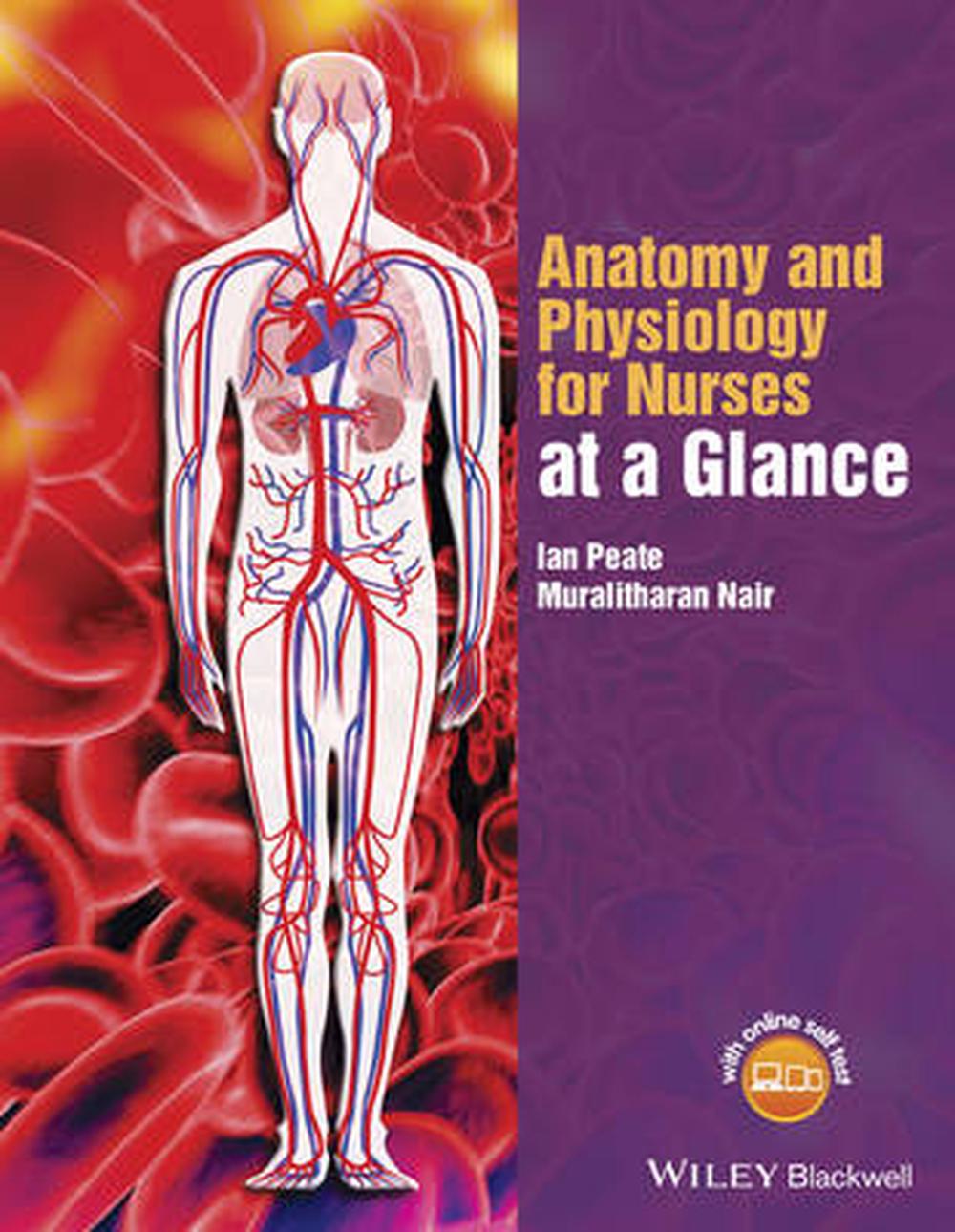 Anatomy And Physiology For Nurses At A Glance By Ian Peate, Paperback ...