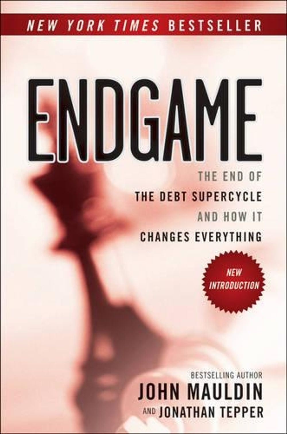 Endgame, 1st Edition by Jonathan Tepper - ISBN: 9781118800027
