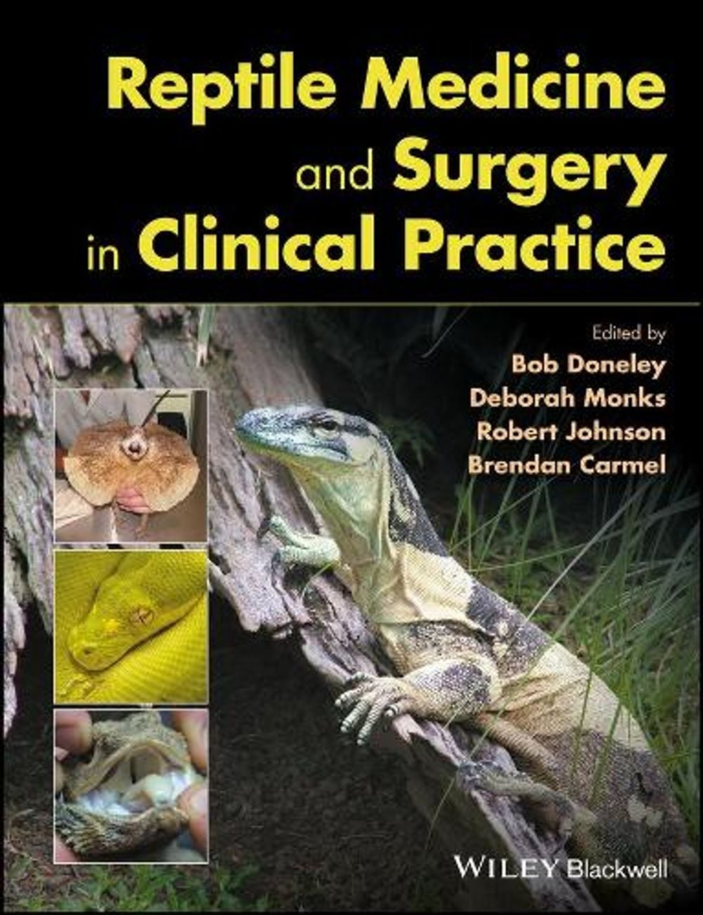 Reptile Medicine and Surgery in Clinical Practice by Bob Doneley - ISBN: 9781118977675