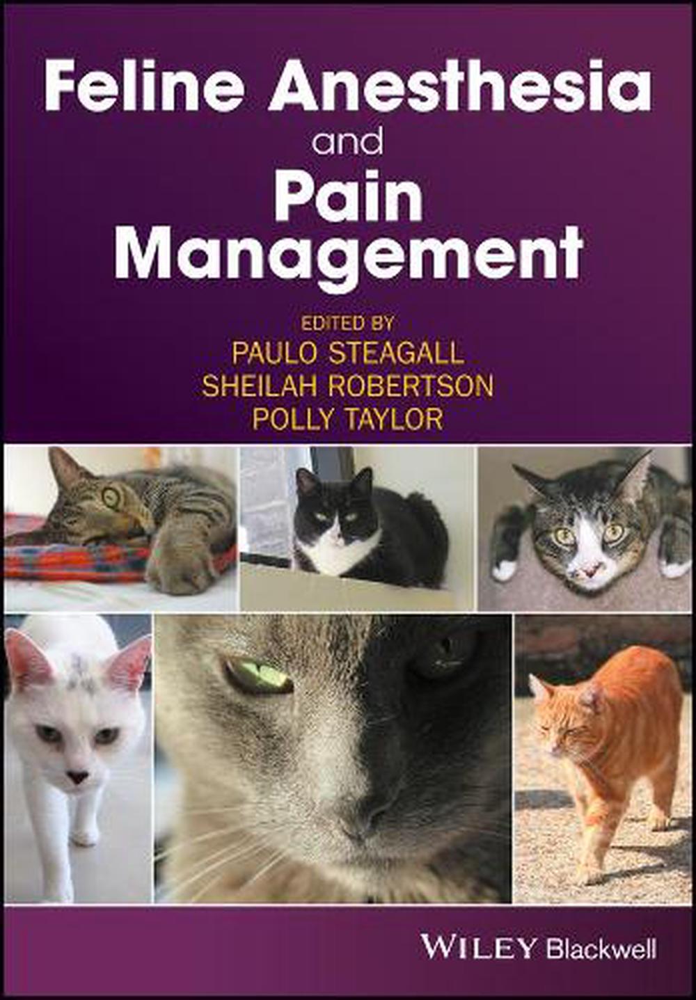 Feline Anesthesia and Pain Management, 9781119167808