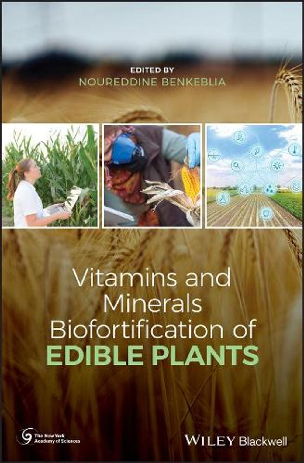 Vitamins and Minerals Biofortification of Edible Plants by Noureddine ...