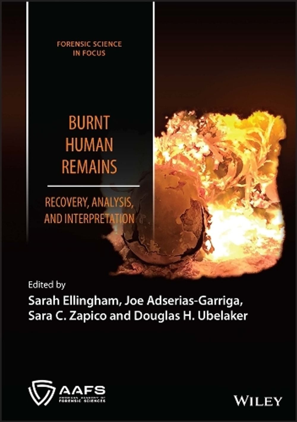 Burnt Human Remains by Sarah Ellingham - ISBN: 9781119682608