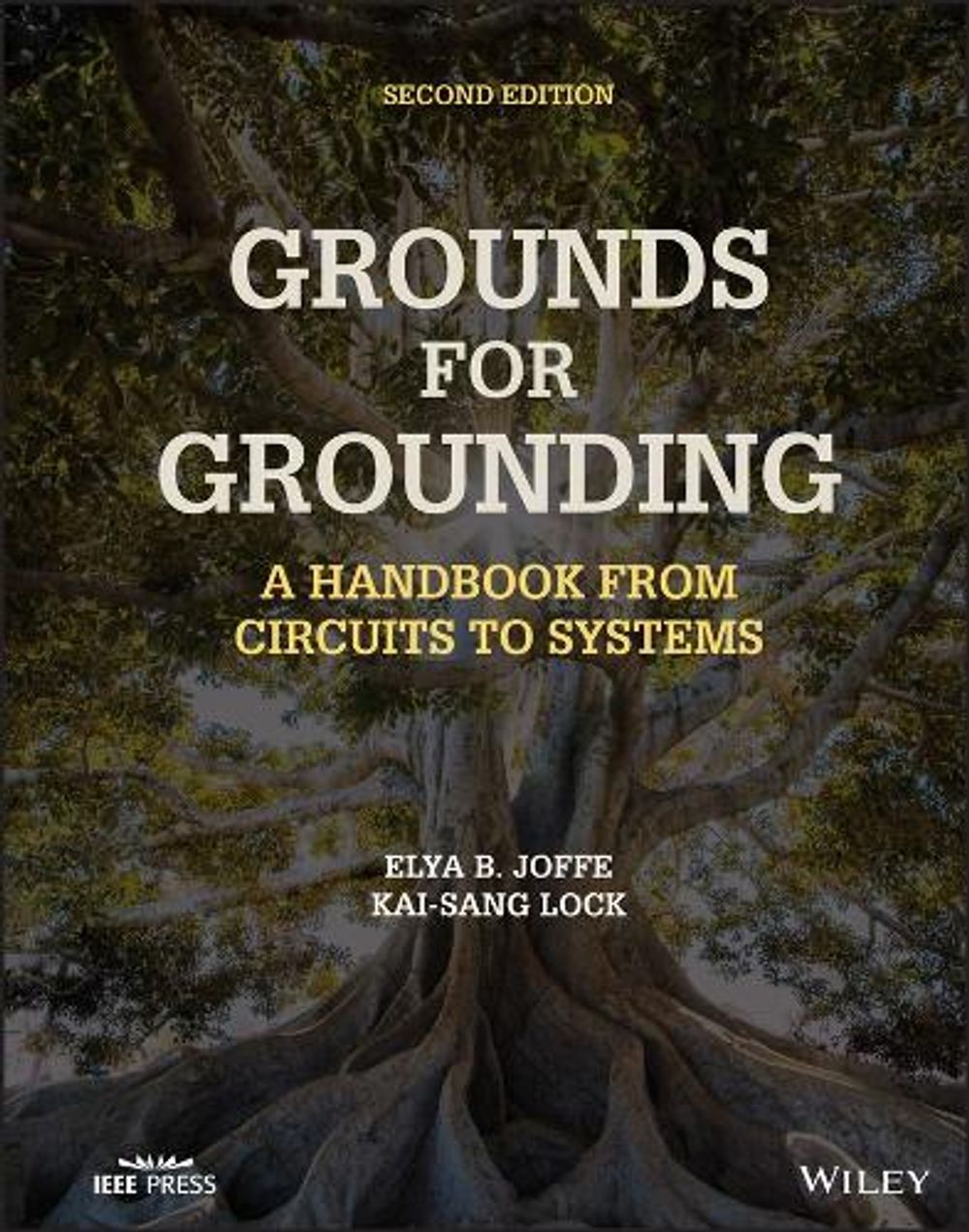 Grounds for Grounding, 2nd Edition by Elya B. Joffe - ISBN: 9781119770930