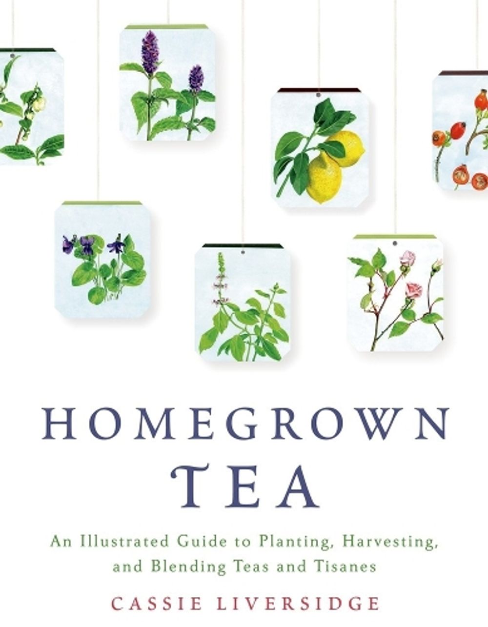 Homegrown Tea by Cassie Liversidge - ISBN: 9781250039415