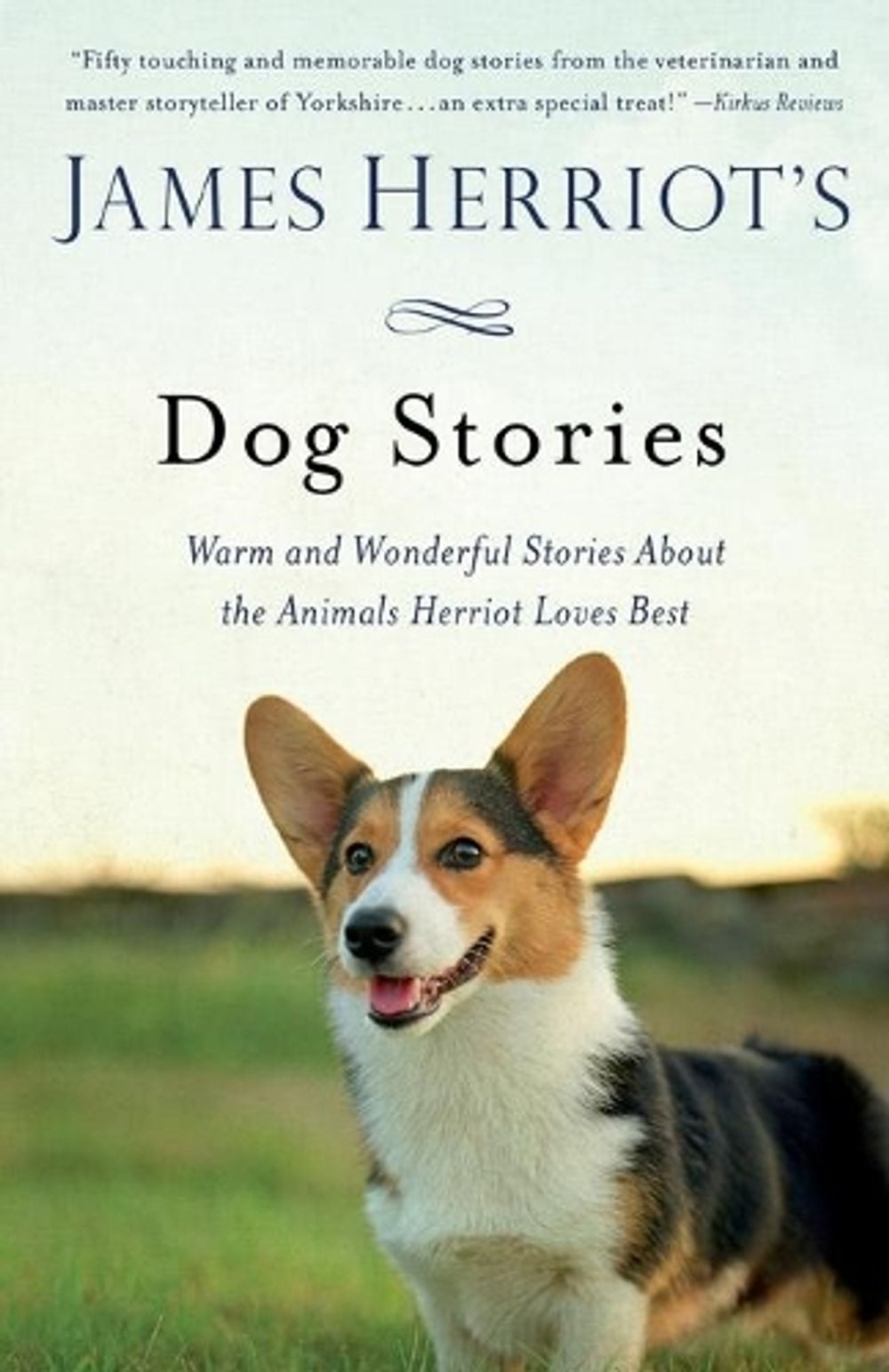 James Herriot's Dog Stories by James Herriot - ISBN: 9781250061898