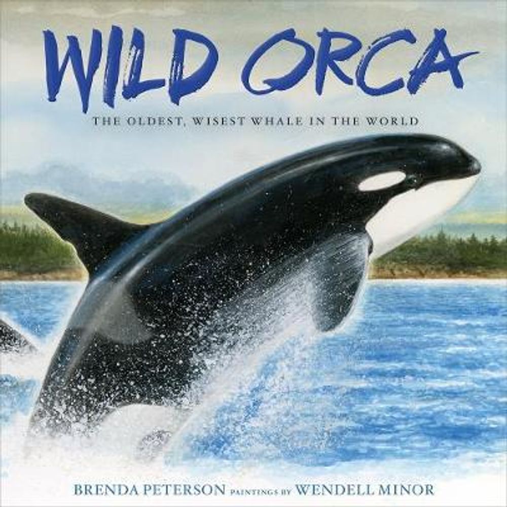 Wild Orca by Brenda Peterson - ISBN: 9781250110695
