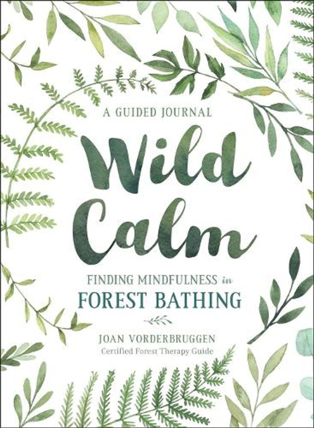 Wild Calm by Joan Vorderbruggen - ISBN: 9781250215154