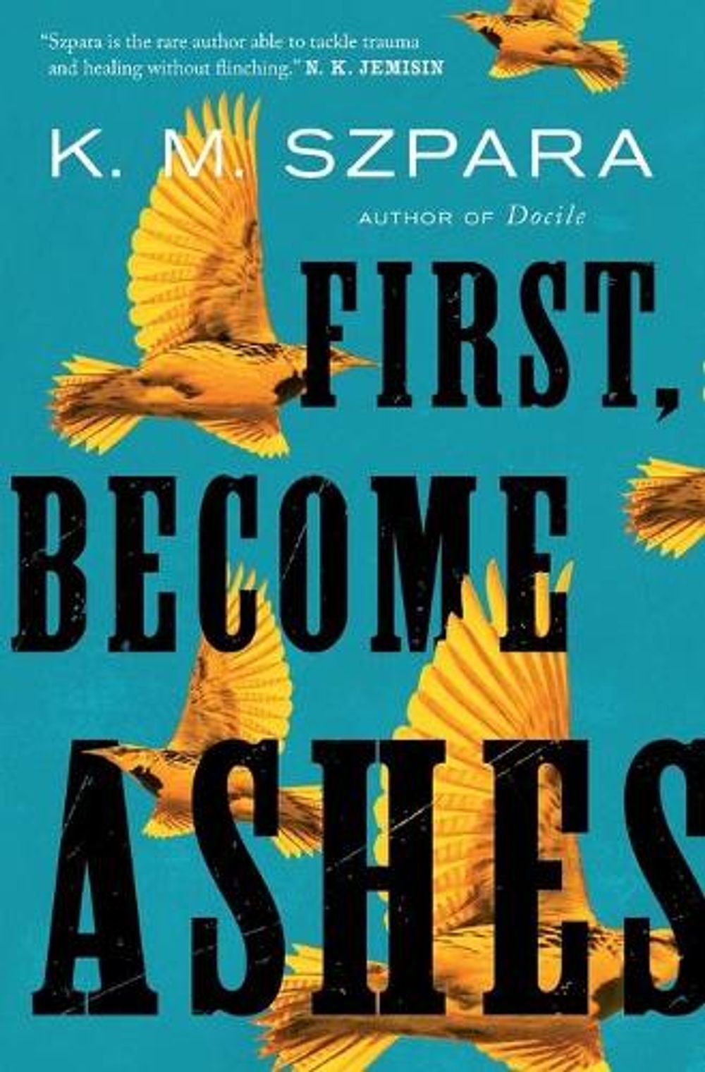 First, Become Ashes by K.M. Szpara - ISBN: 9781250216328