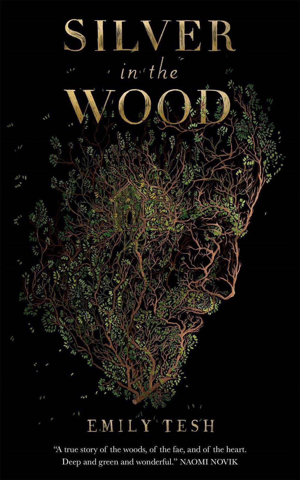 Silver in the Wood by Emily Tesh - ISBN: 9781250229793