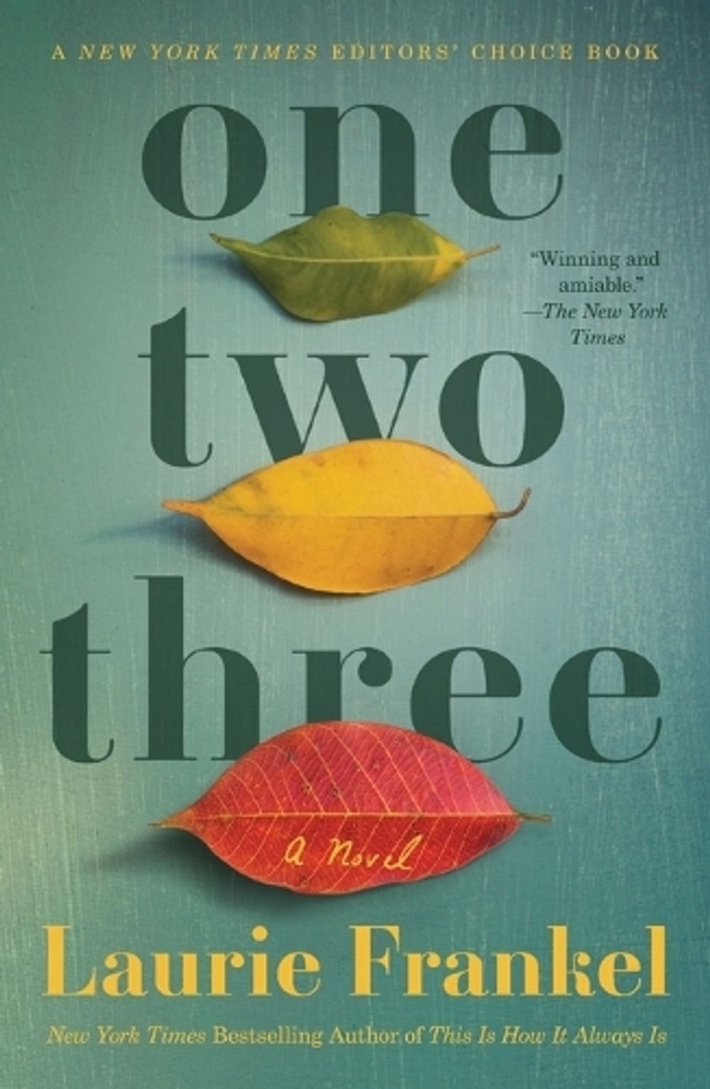 One Two Three by Laurie Frankel - ISBN: 9781250236791