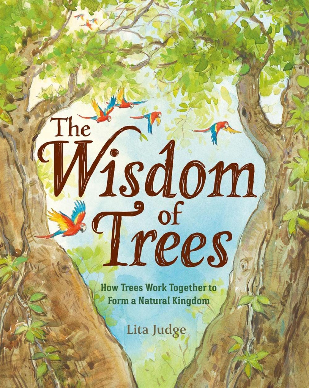 The Wisdom of Trees by Lita Judge - ISBN: 9781250237071