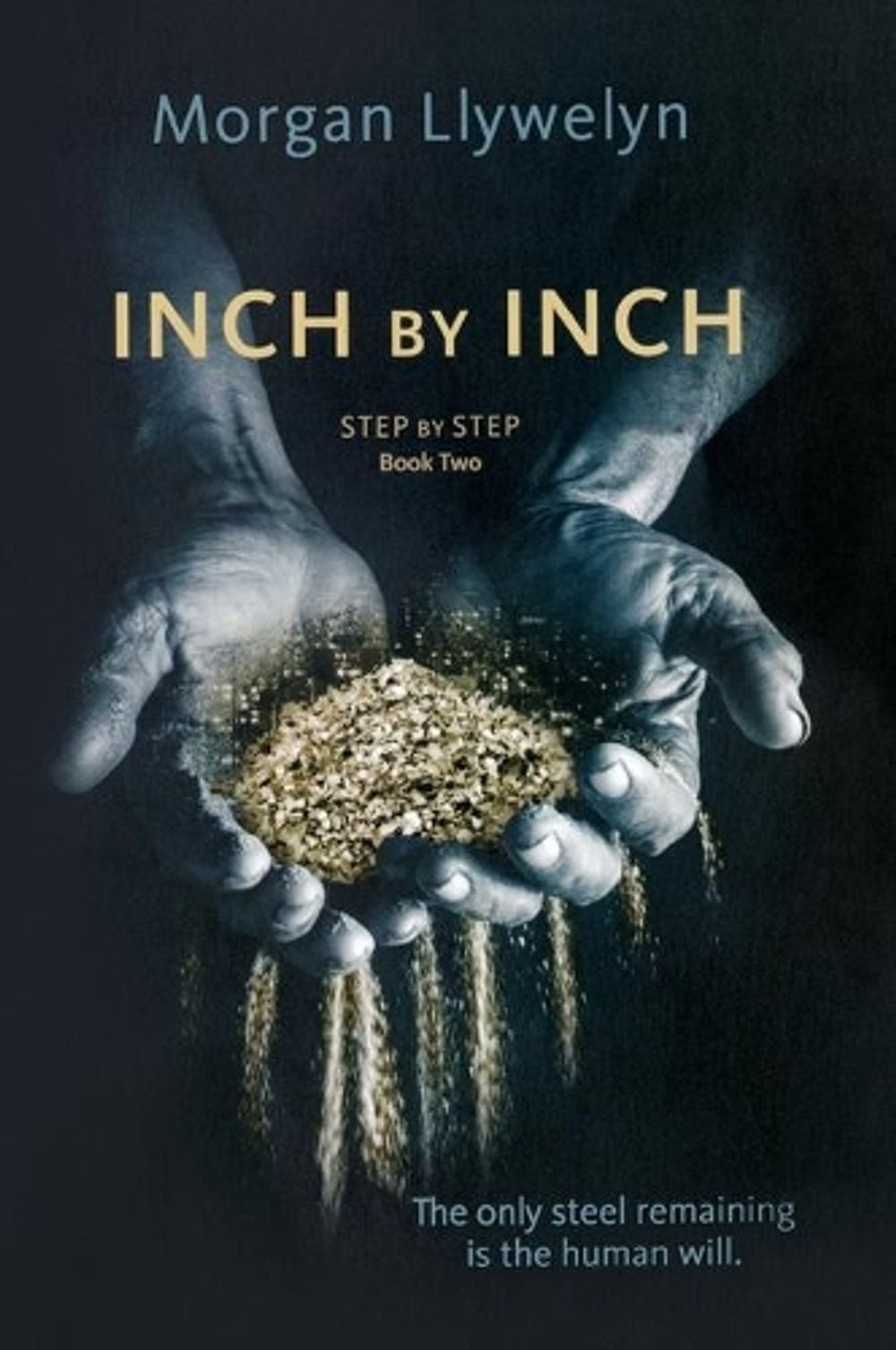 Inch by Inch by Morgan Llywelyn - ISBN: 9781250245328